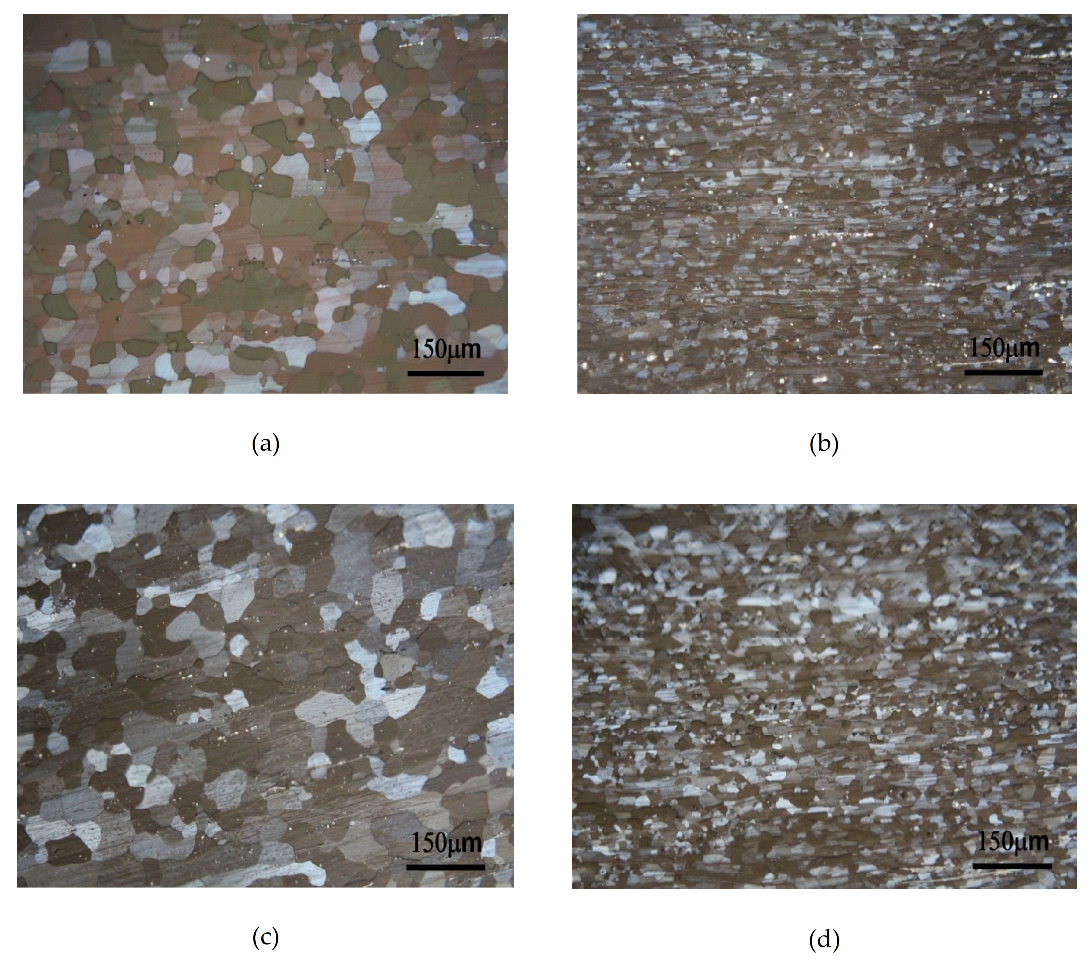 Molecules 26 00168 g004a