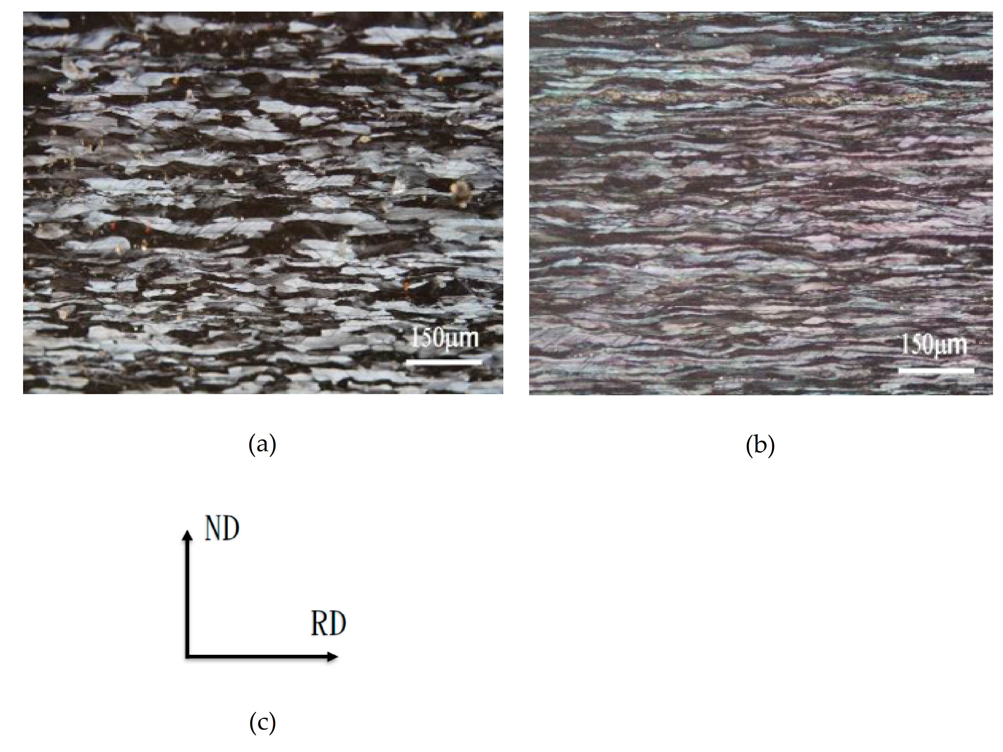 Molecules 26 00168 g005