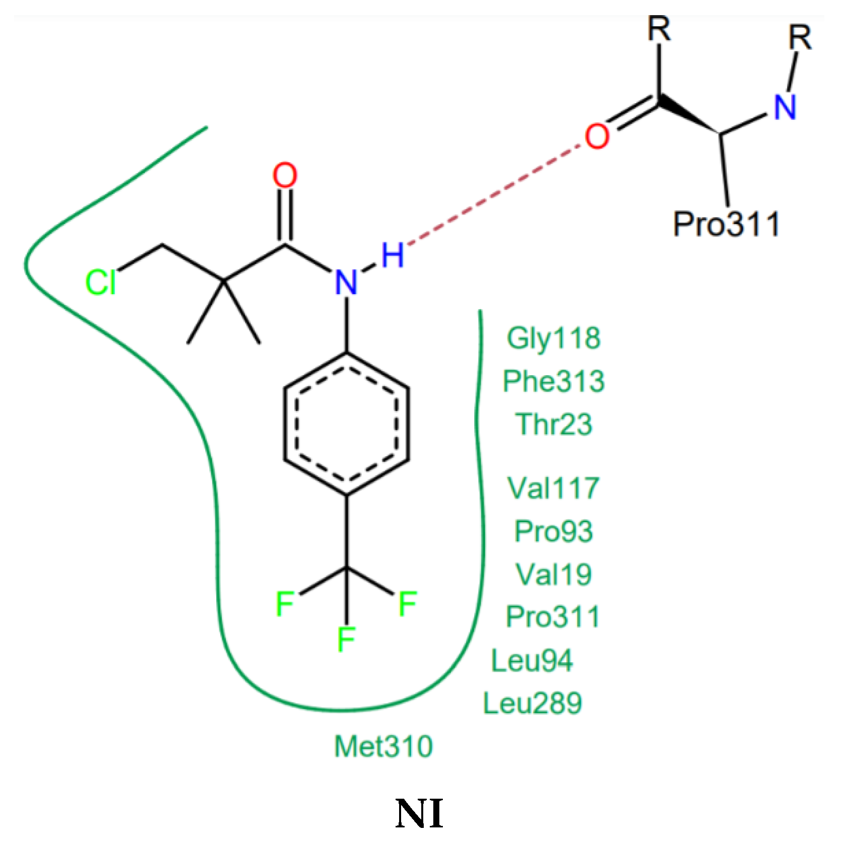 Molecules 26 00170 g005b Molecules 26 00170 g005b