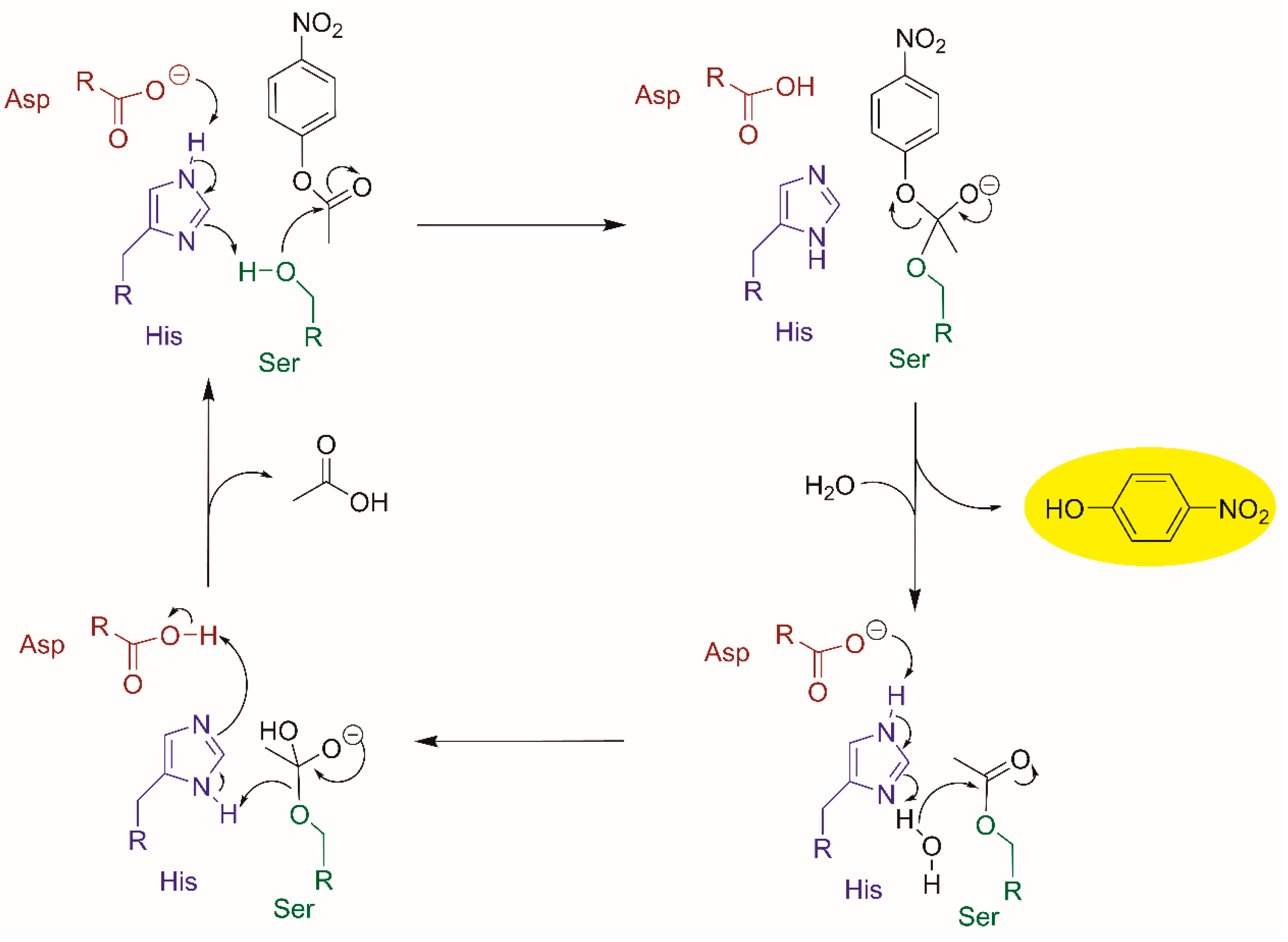 Molecules 26 00173 sch001