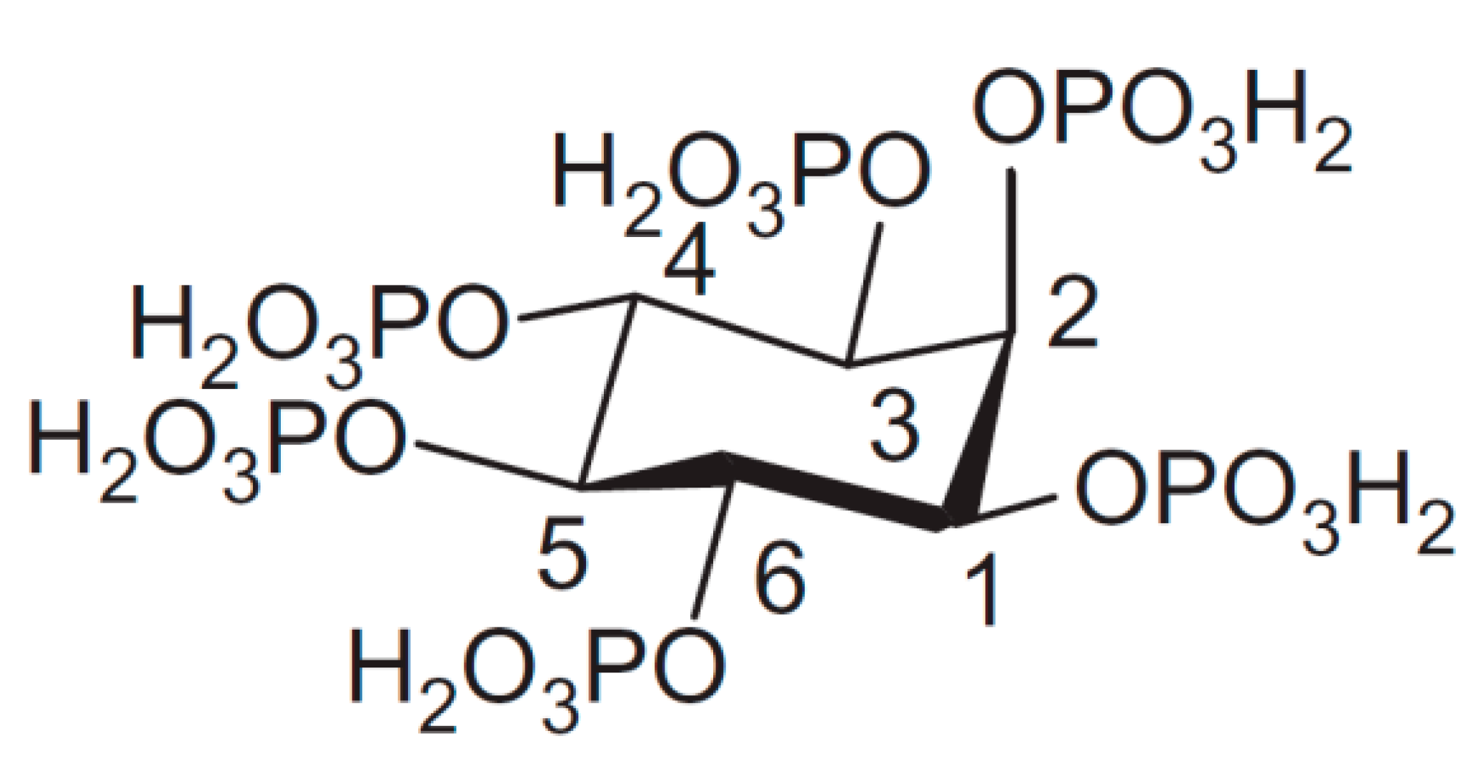 Molecules 26 00174 g001