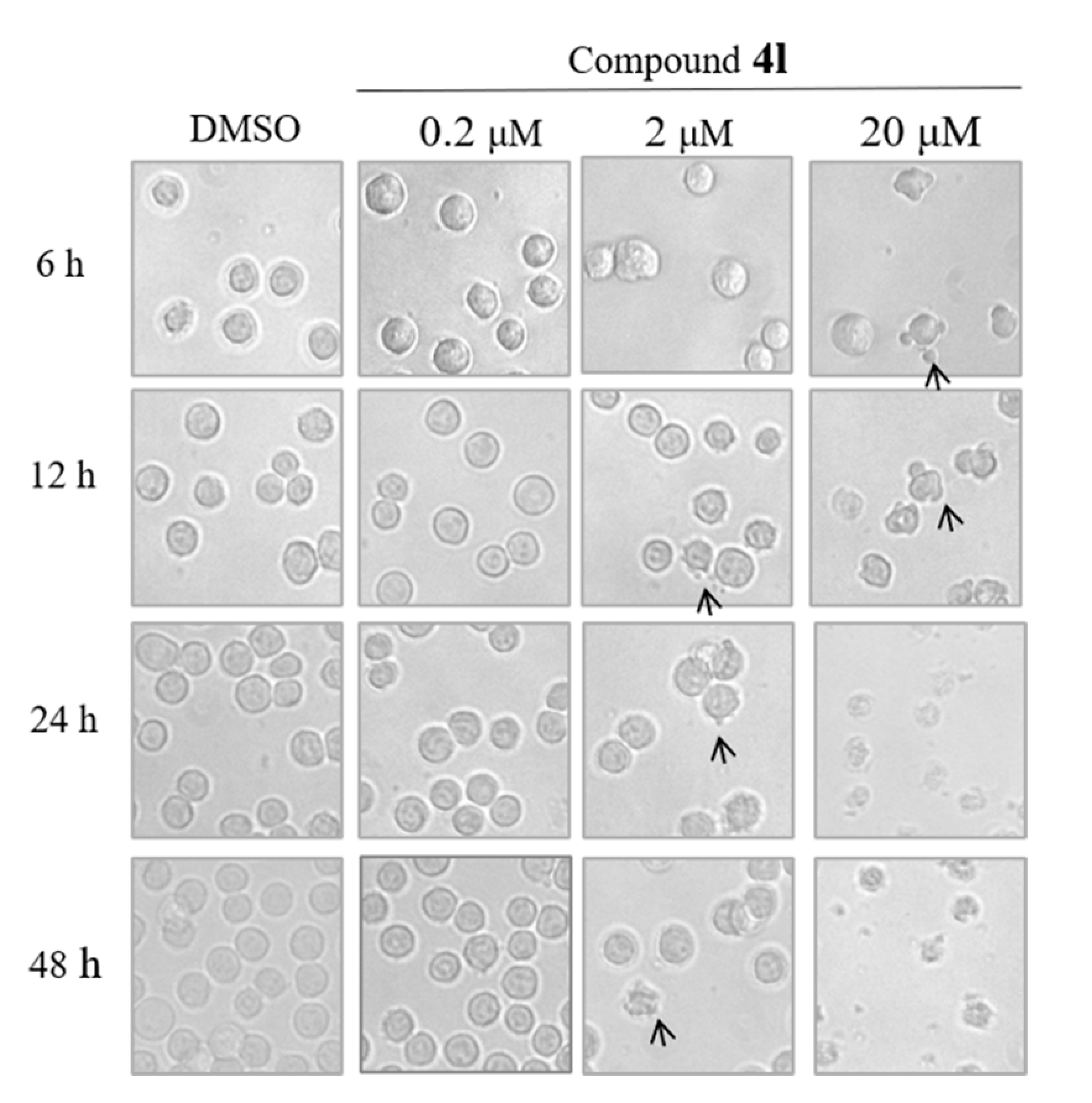 Molecules 26 00176 g001 Molecules 26 00176 g001