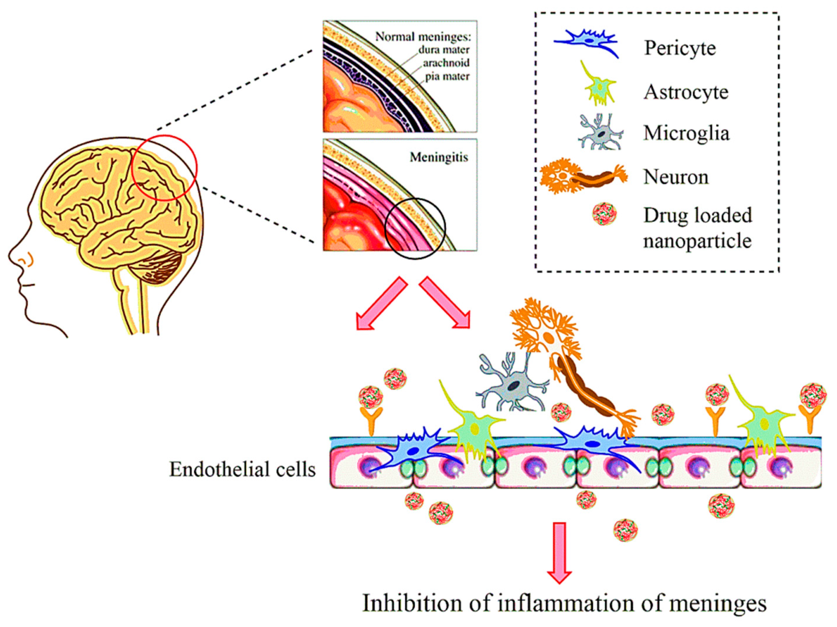 Molecules 26 00186 g001 Molecules 26 00186 g001