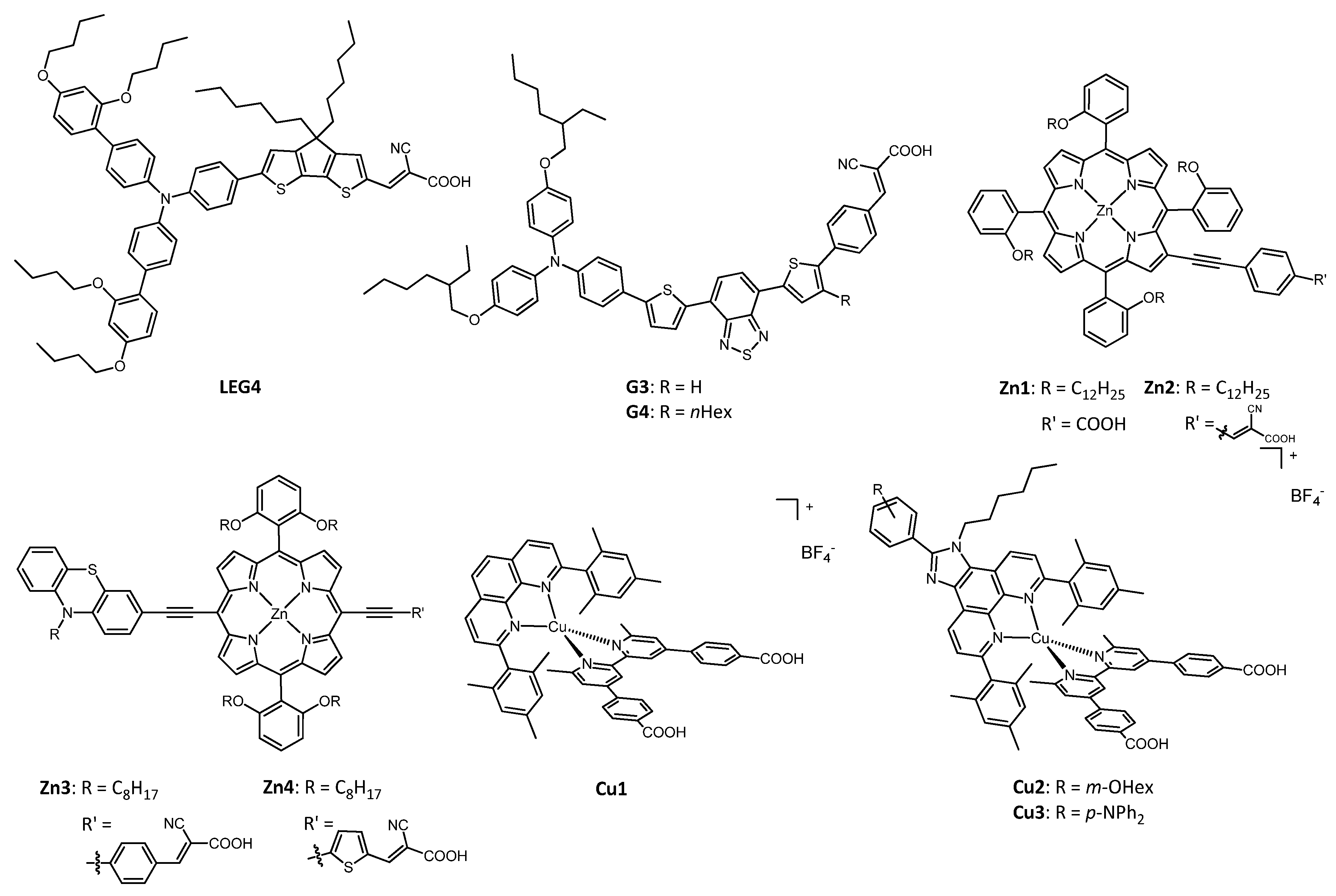 Molecules 26 00194 g003