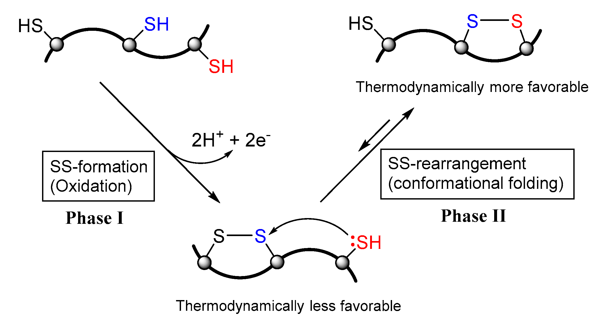 Molecules 26 00195 g002