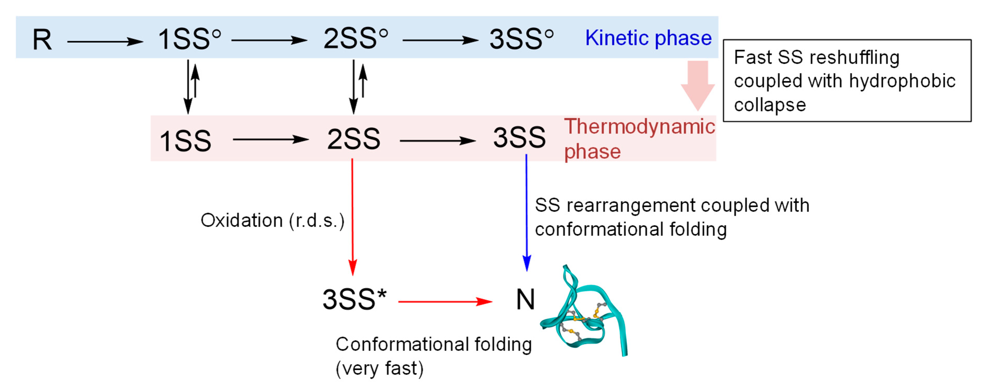 Molecules 26 00195 g006