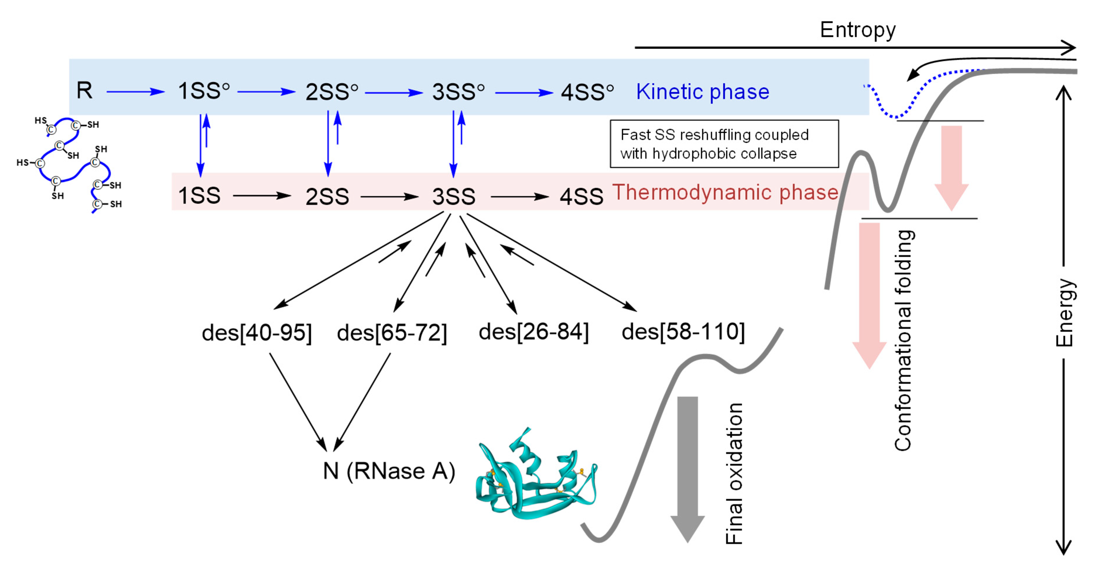 Molecules 26 00195 g007