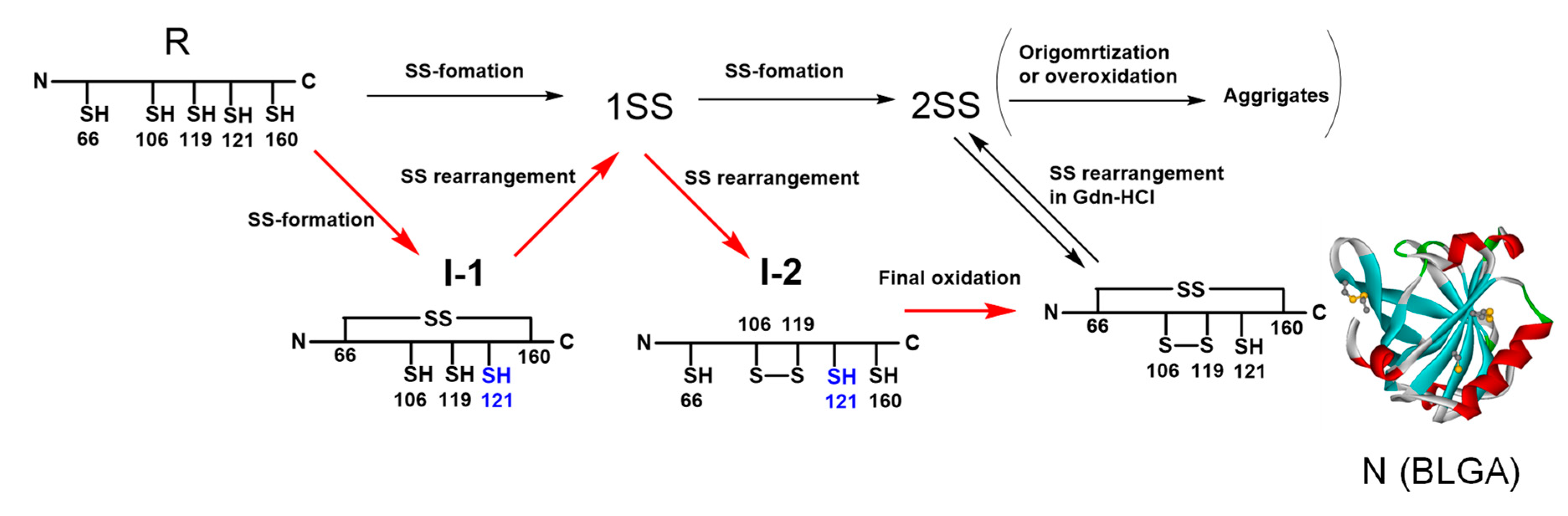 Molecules 26 00195 g009
