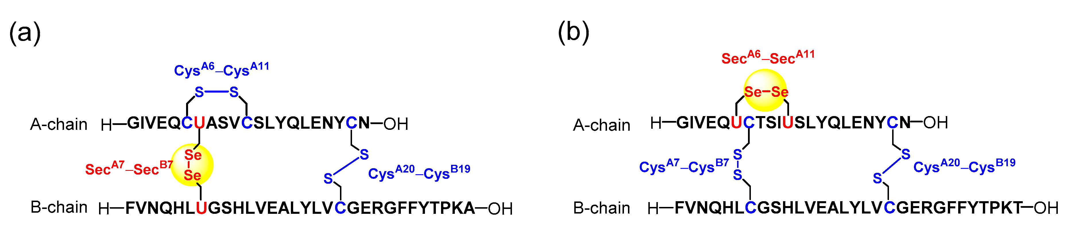 Molecules 26 00195 g012