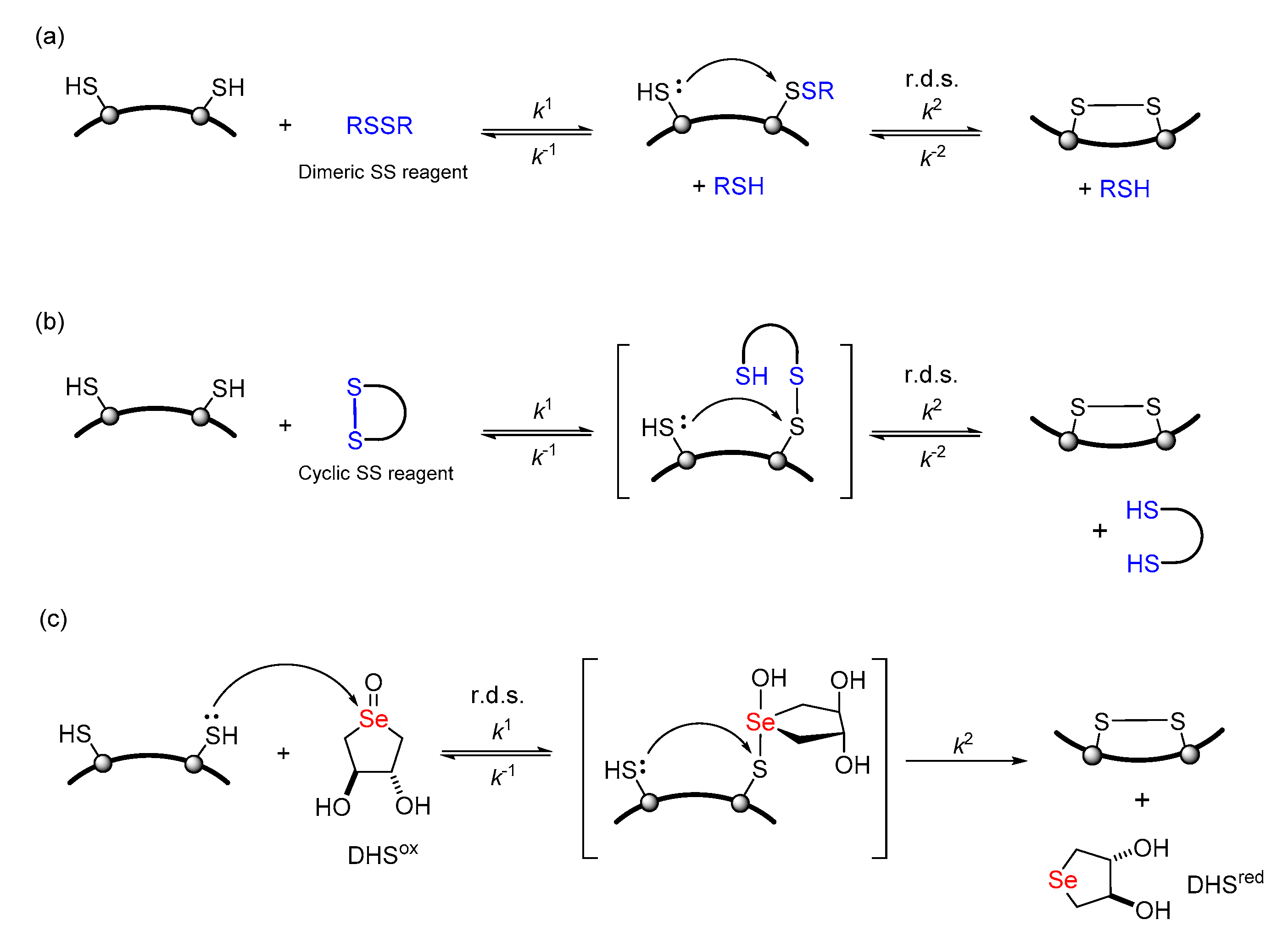 Molecules 26 00195 sch001