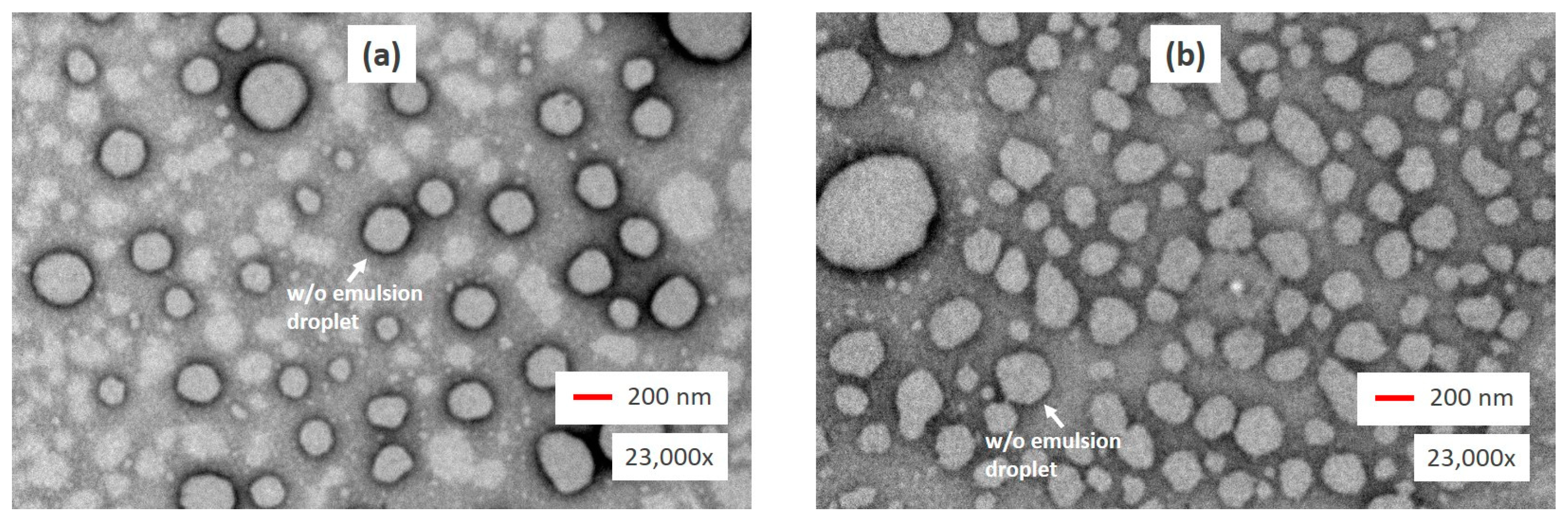 Molecules 26 00196 g003