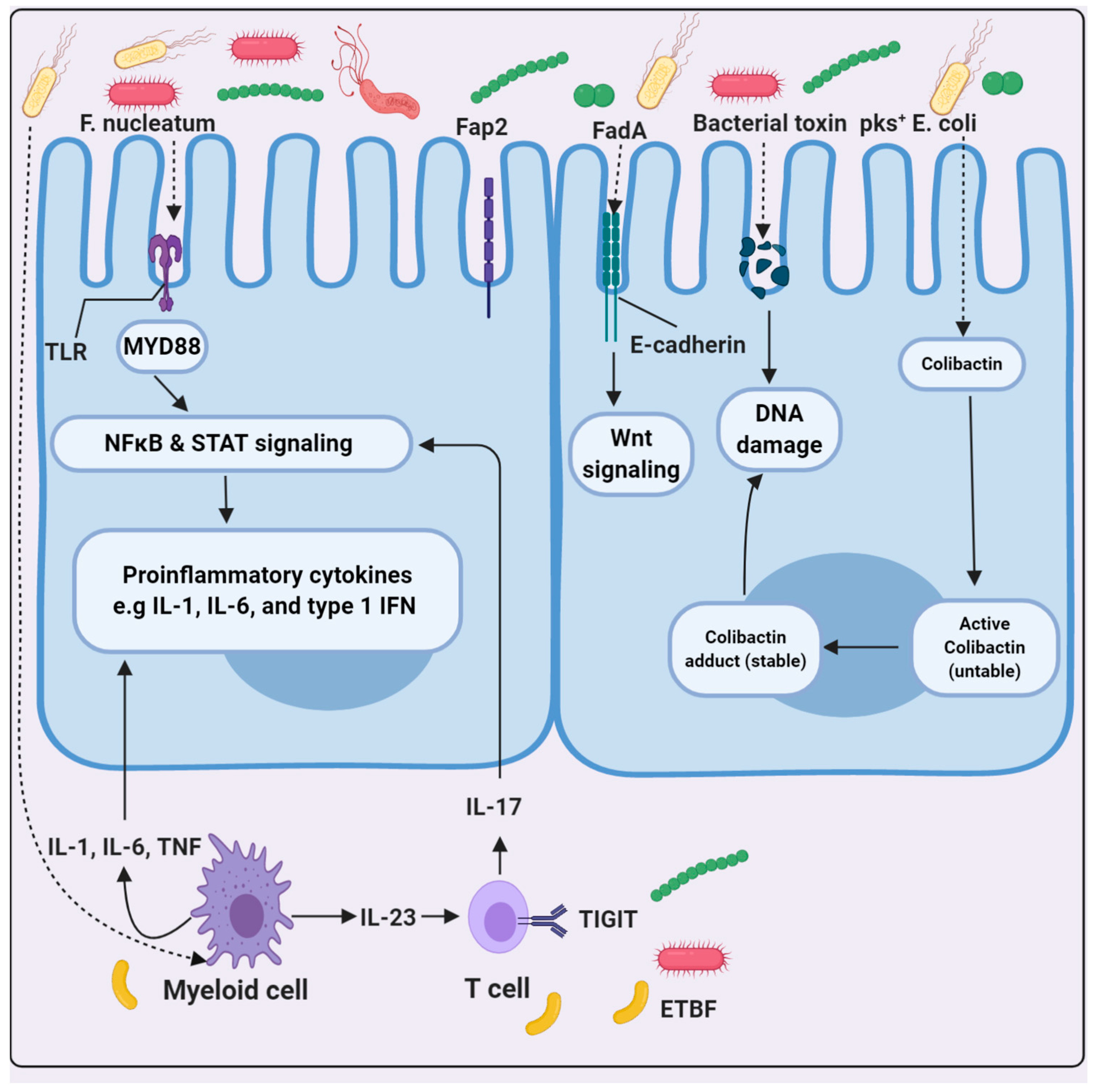 Molecules 26 00206 g002