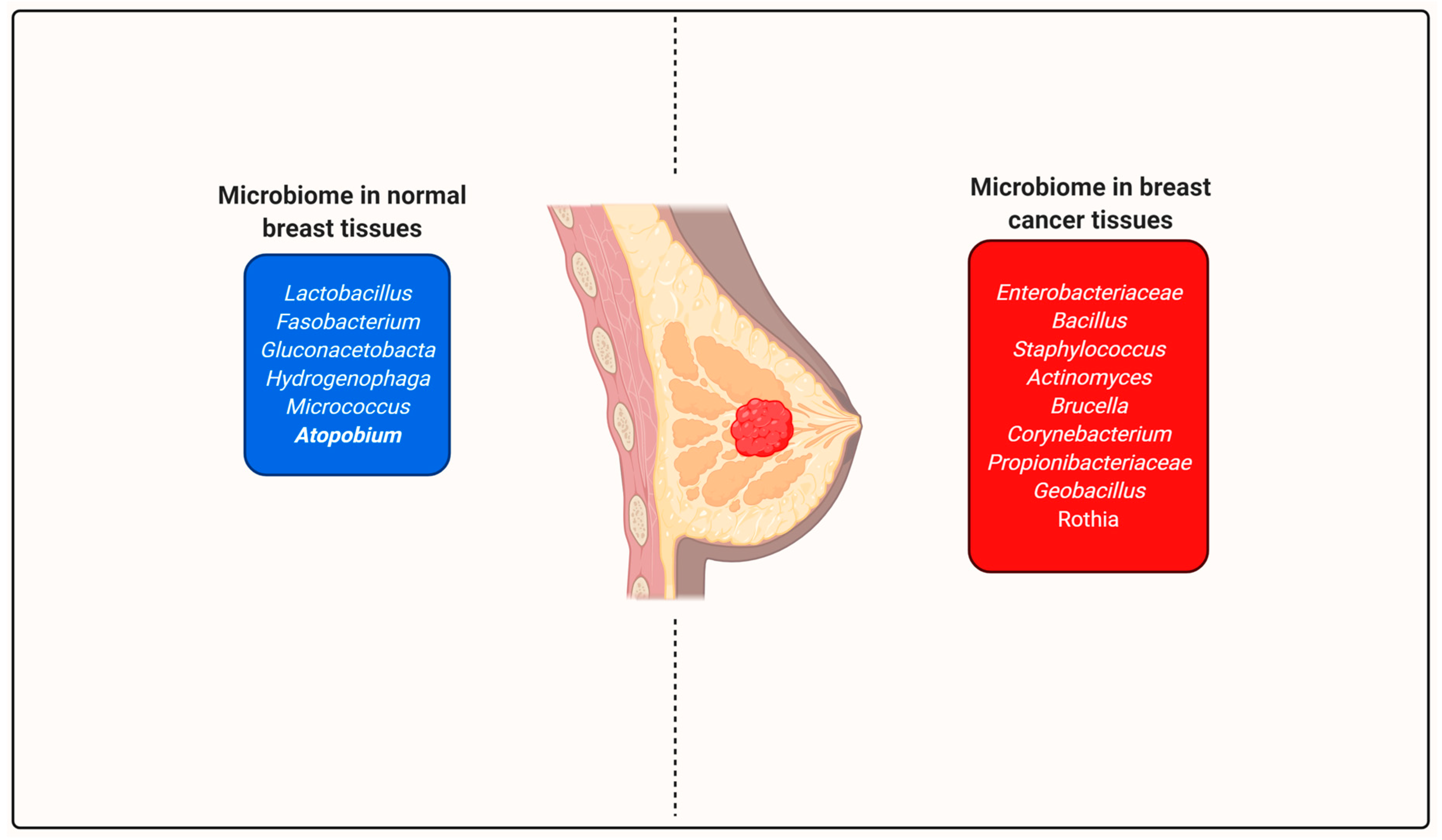 Molecules 26 00206 g003