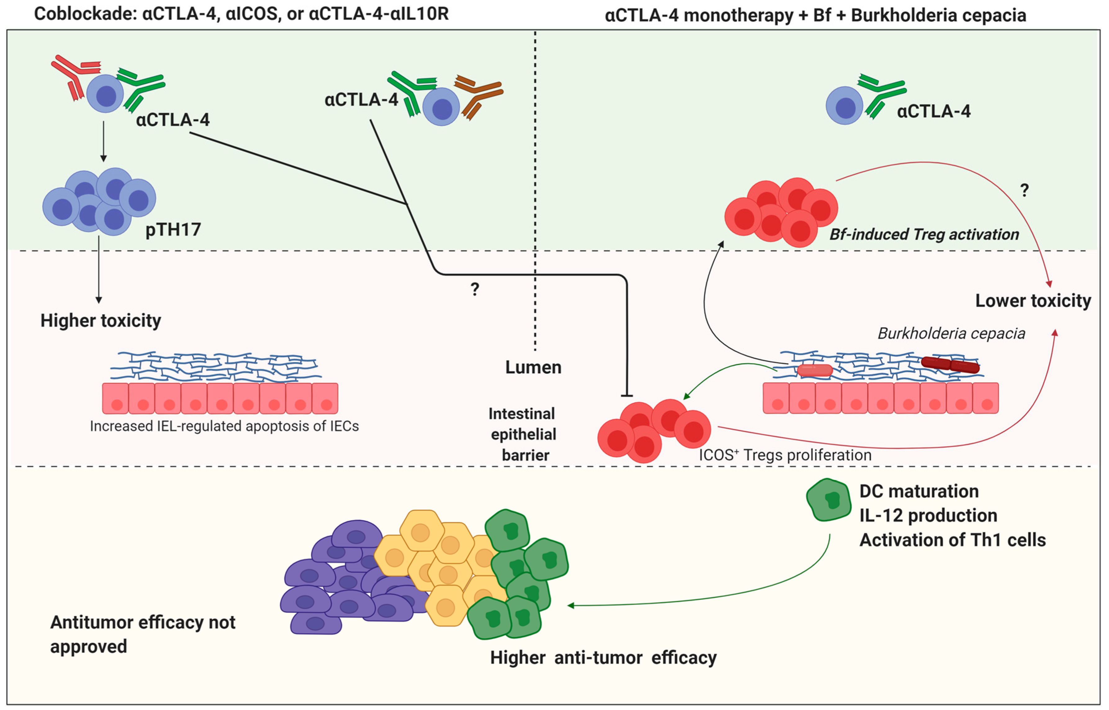 Molecules 26 00206 g004