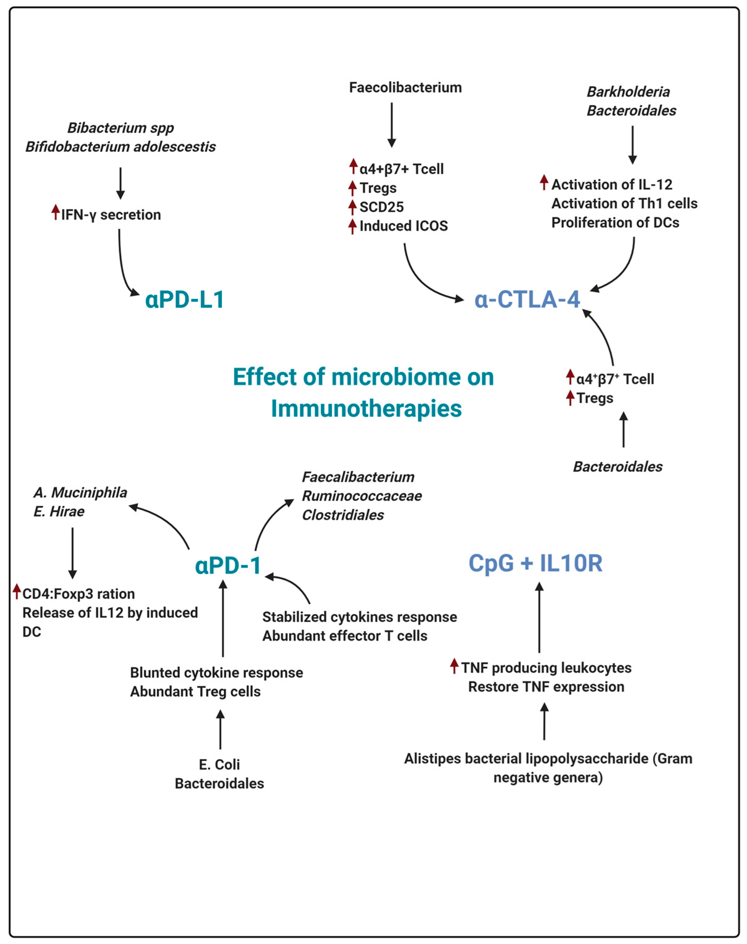 Molecules 26 00206 g005
