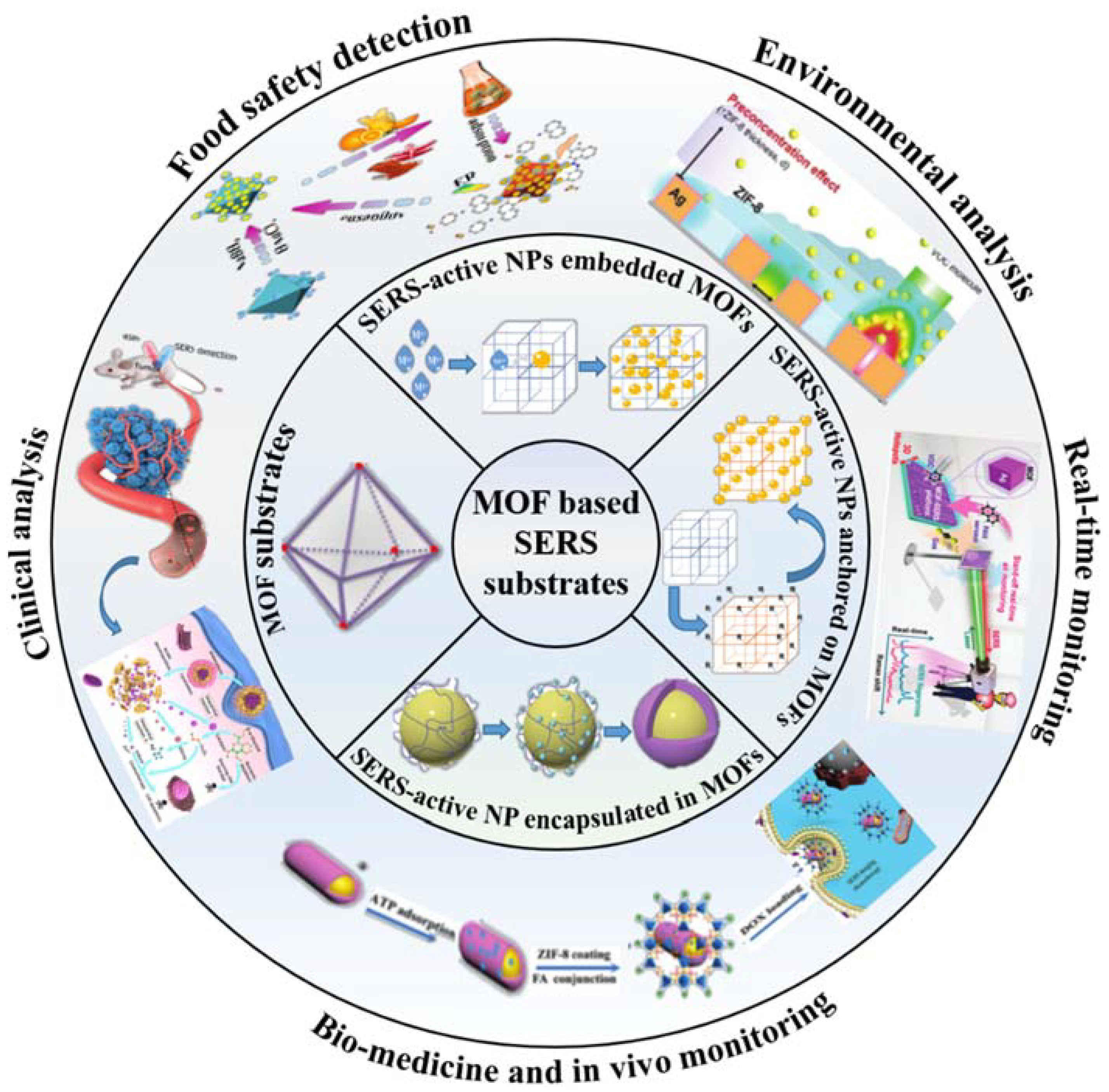 Molecules 26 00209 g001