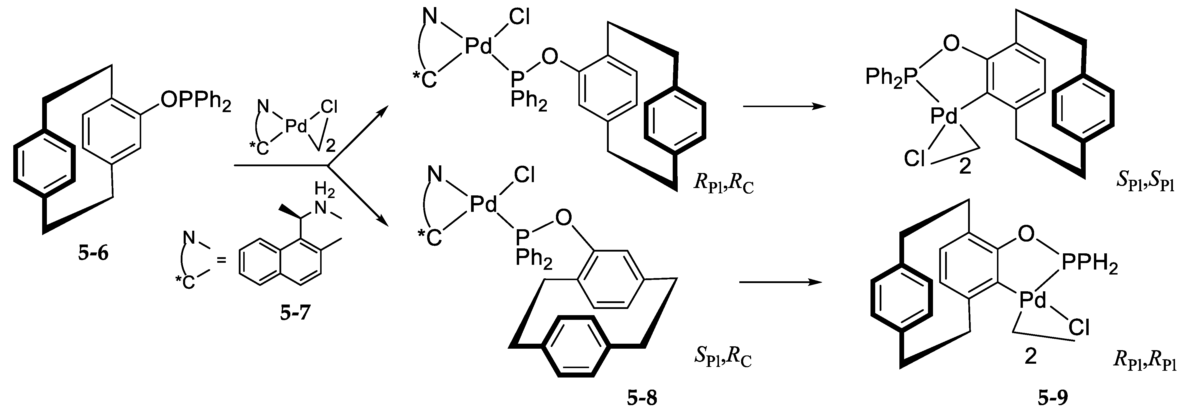 Molecules 26 00210 sch010