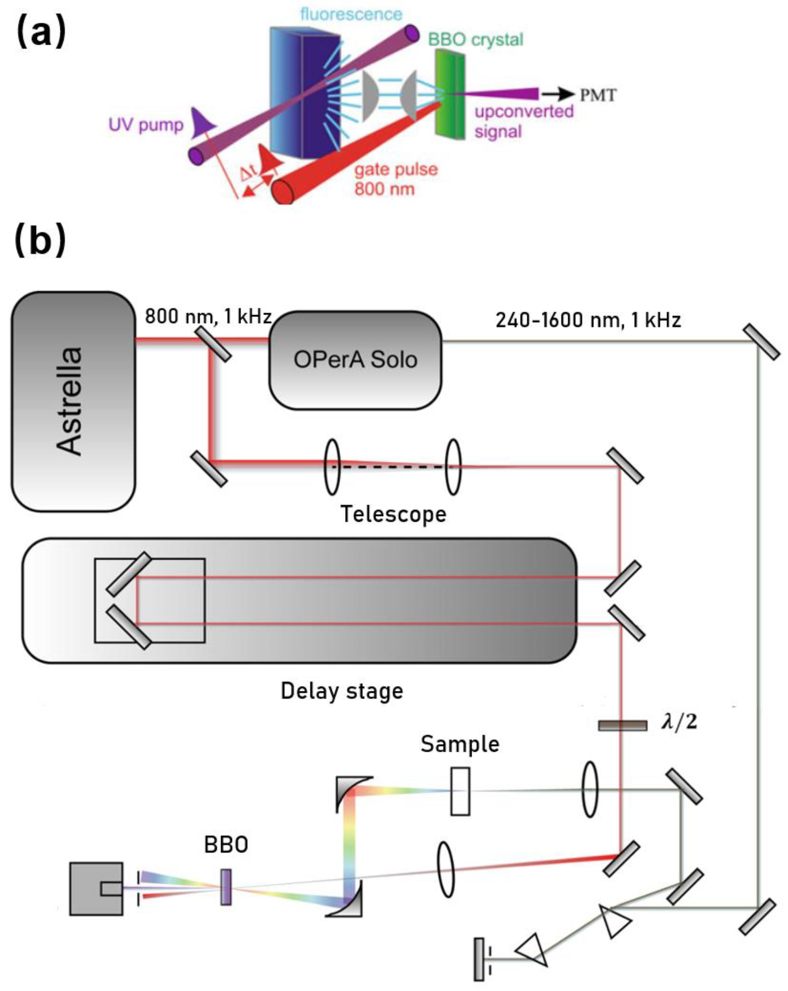 Molecules 26 00211 g001
