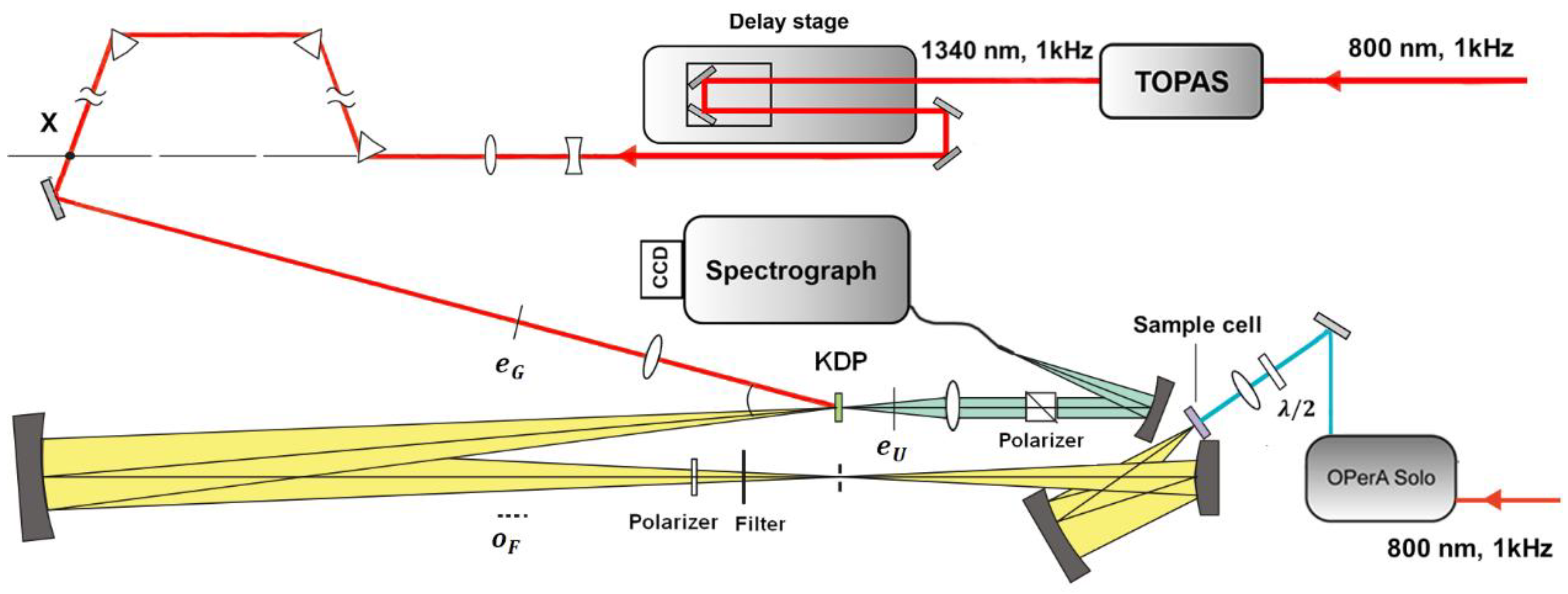 Molecules 26 00211 g003