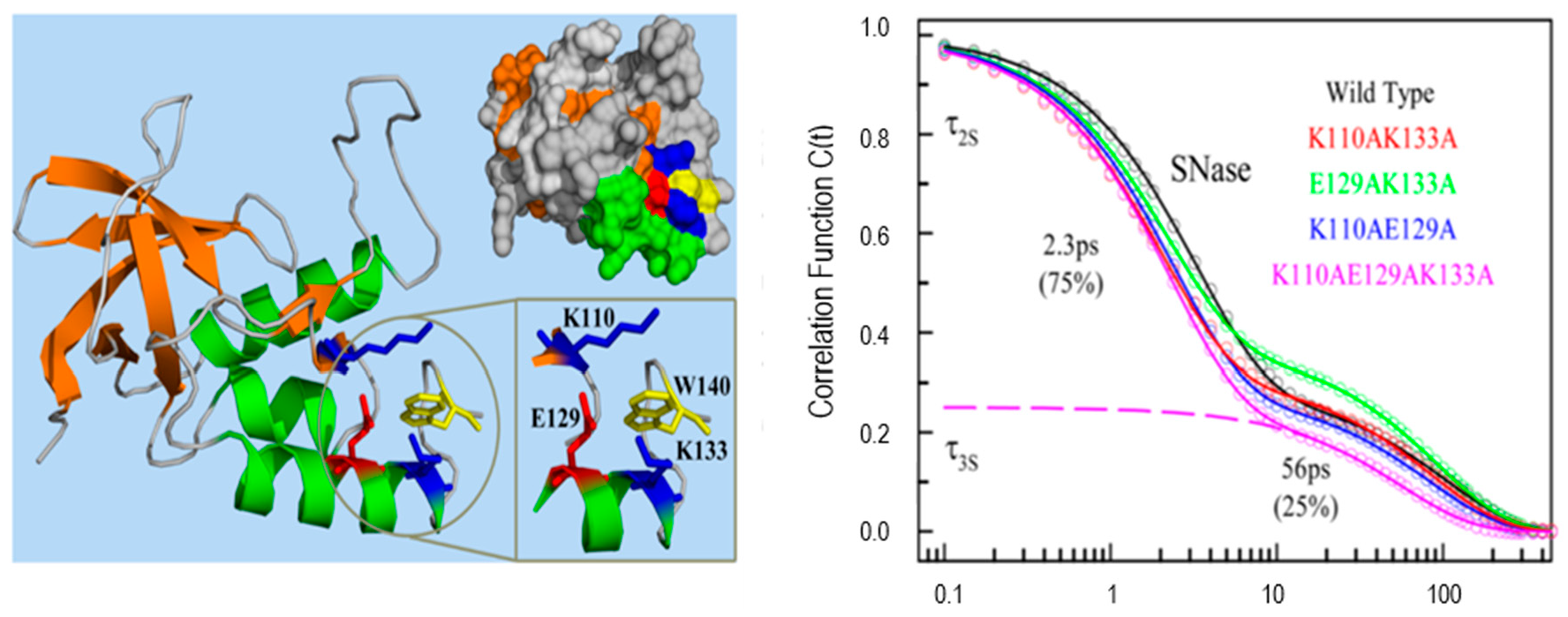Molecules 26 00211 g006