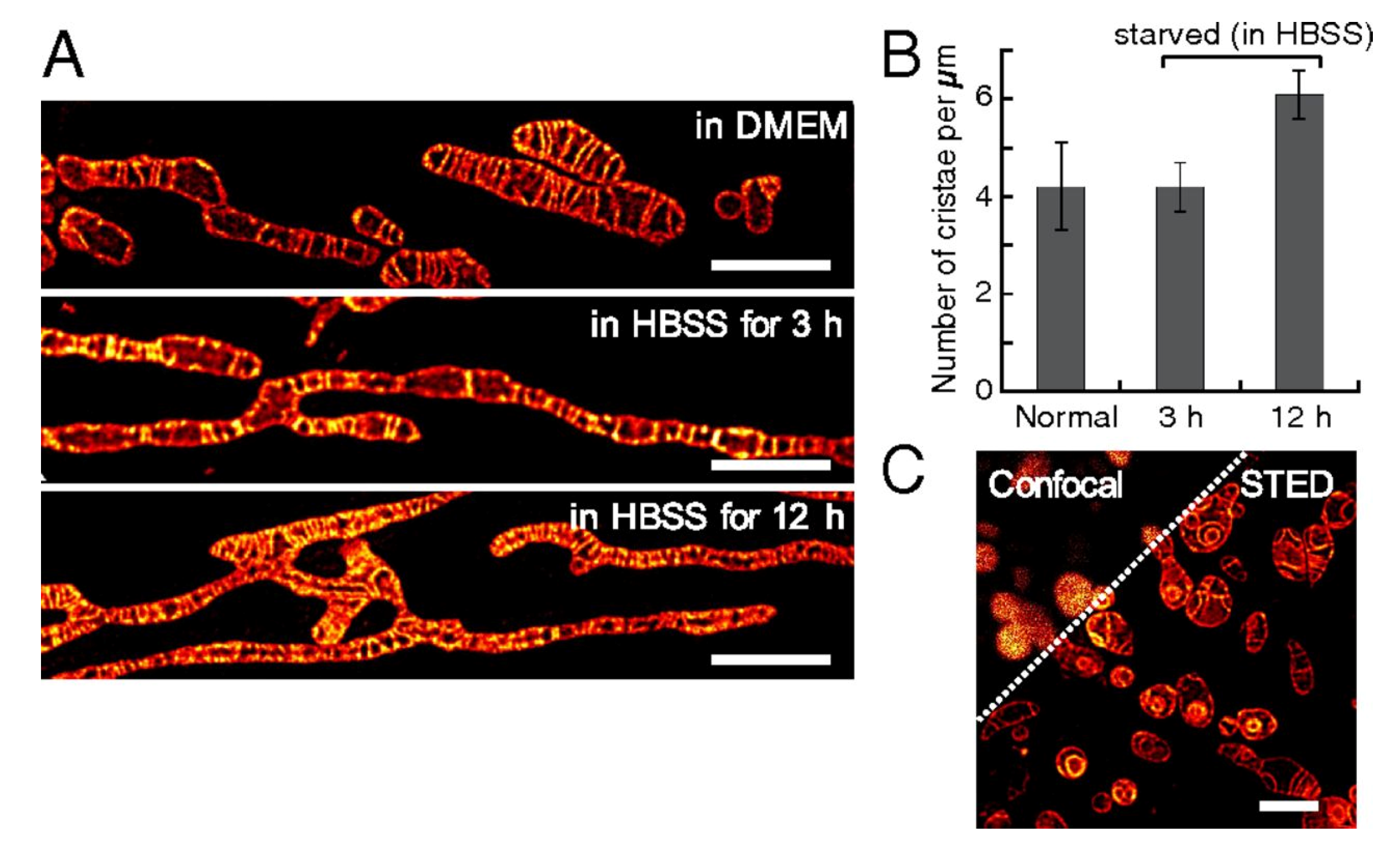 Molecules 26 00217 g005