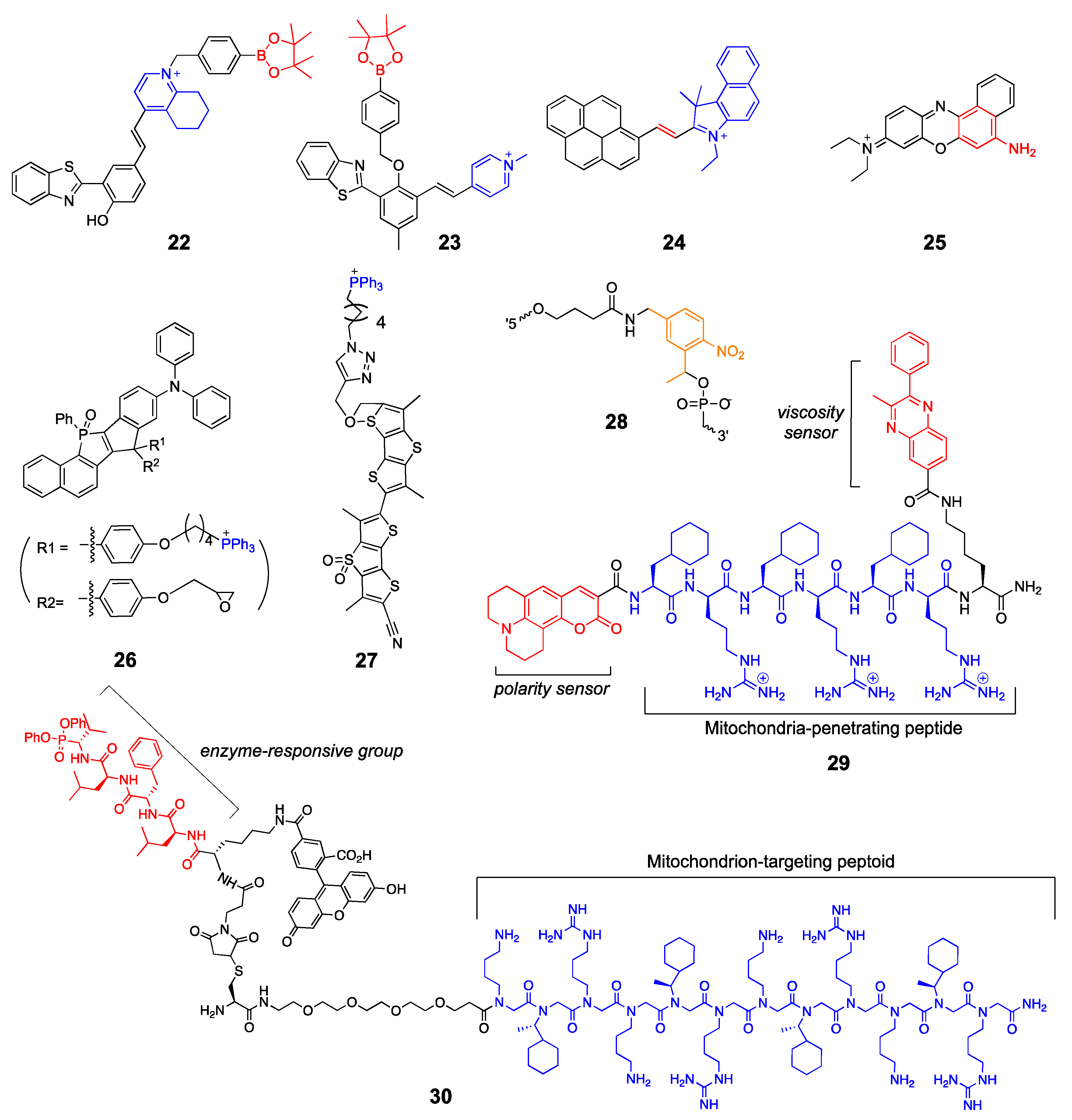 Molecules 26 00217 g007