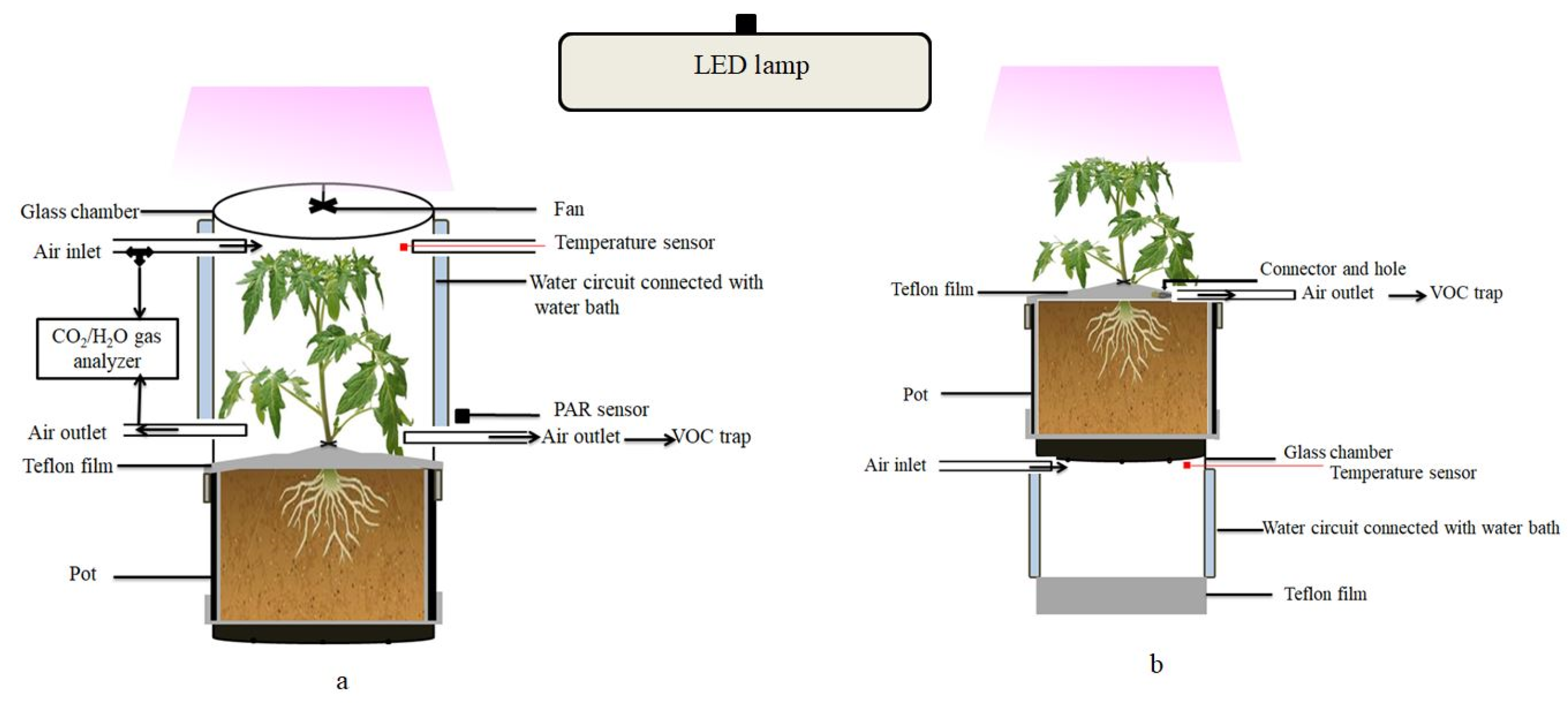 Molecules 26 00237 g004