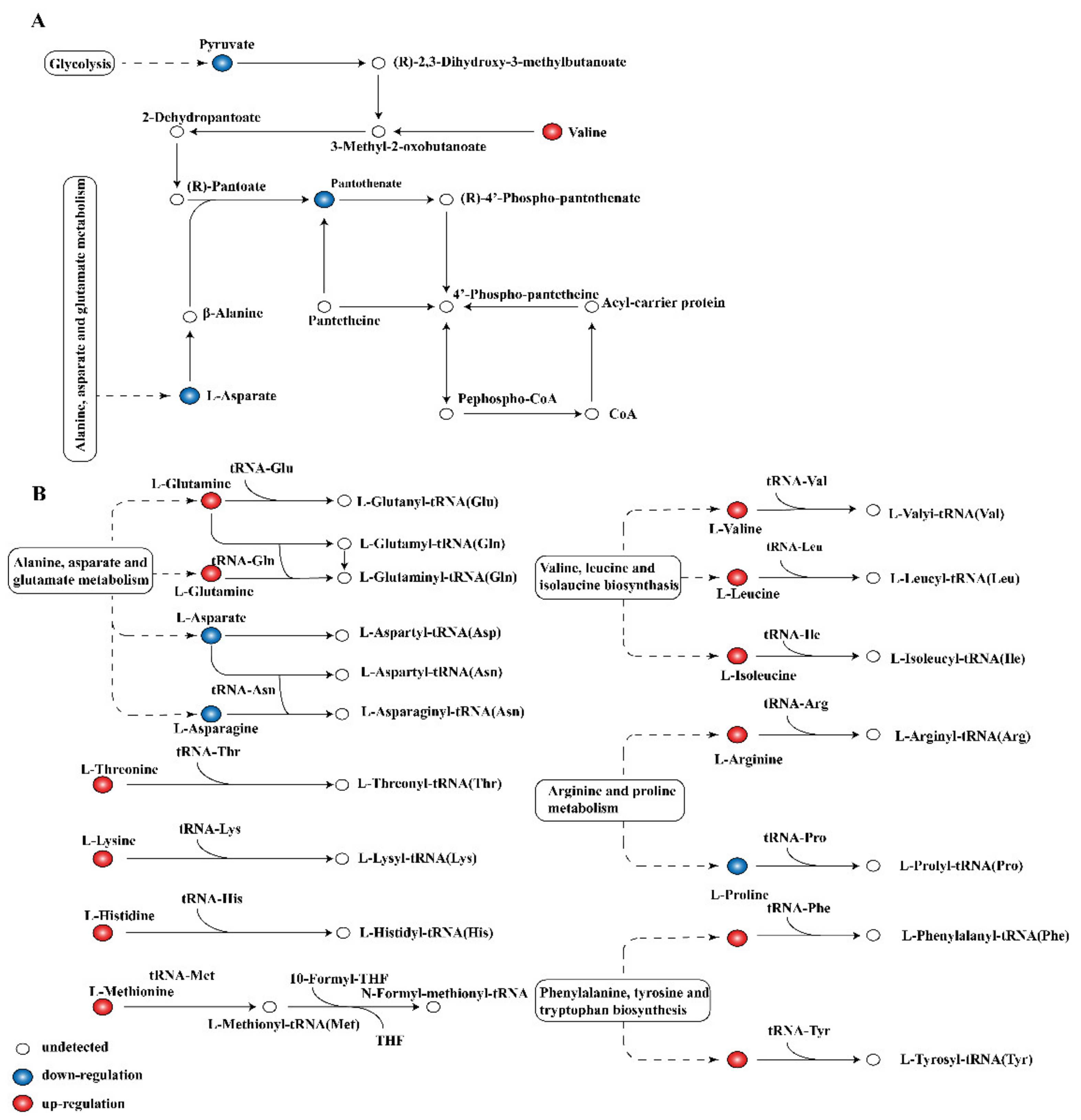 Molecules 26 00245 g008