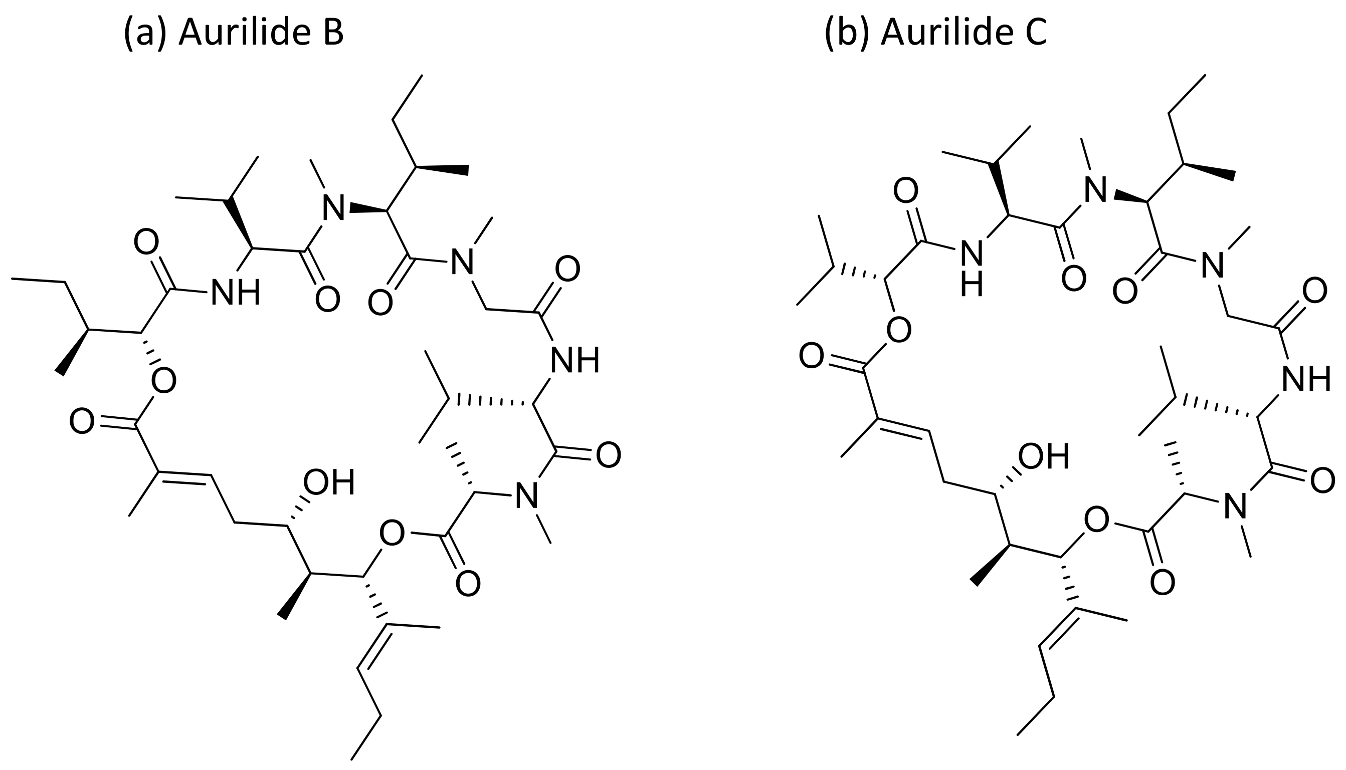 Molecules 26 00247 g004