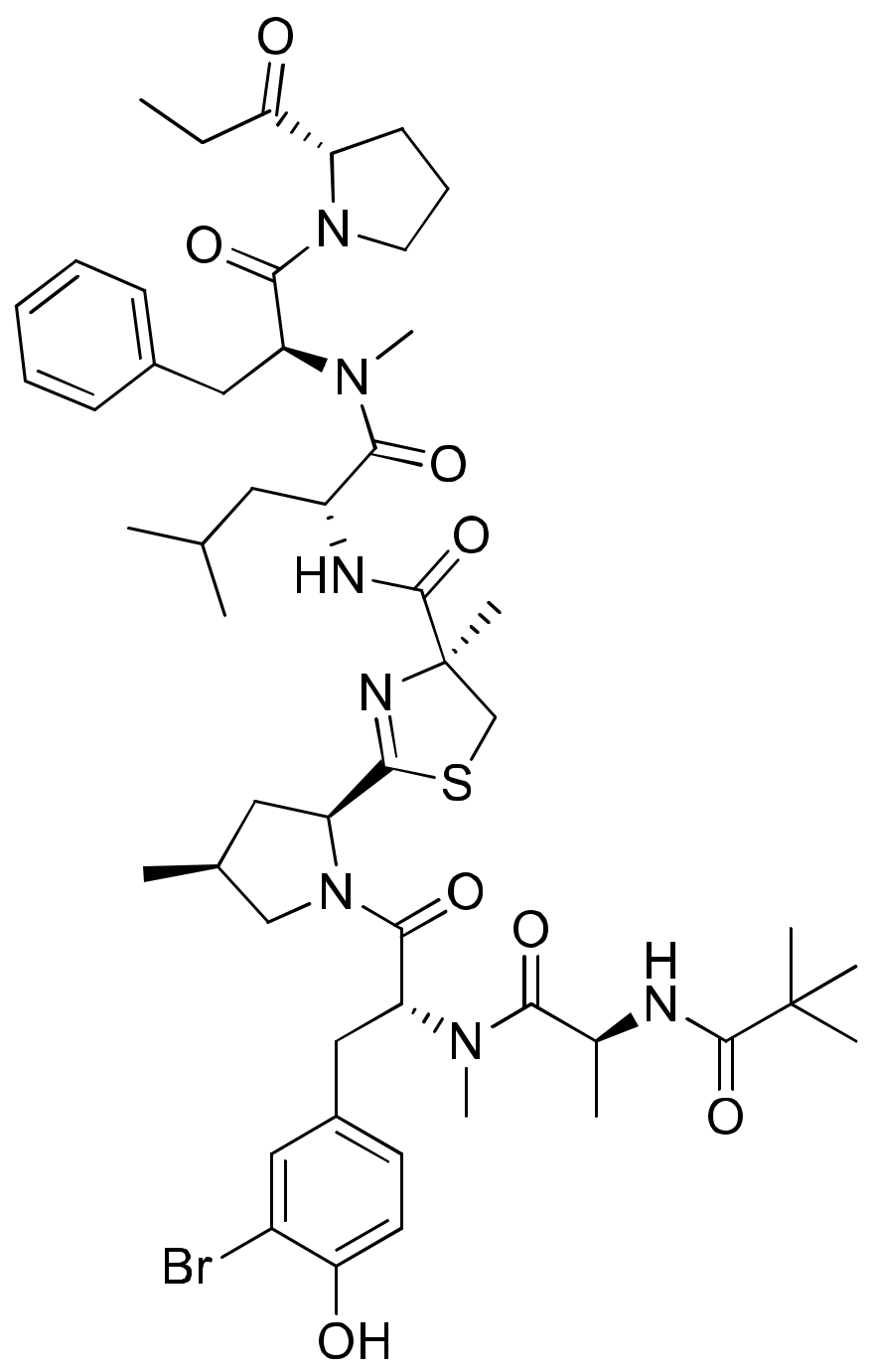 Molecules 26 00247 g005