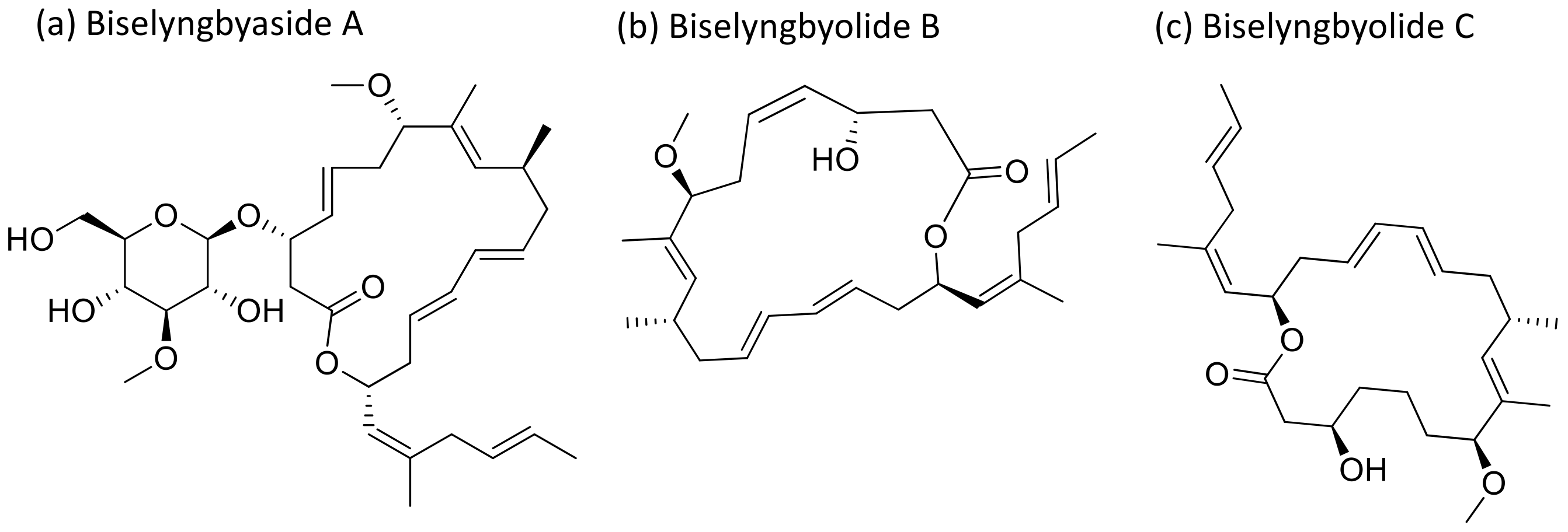 Molecules 26 00247 g006