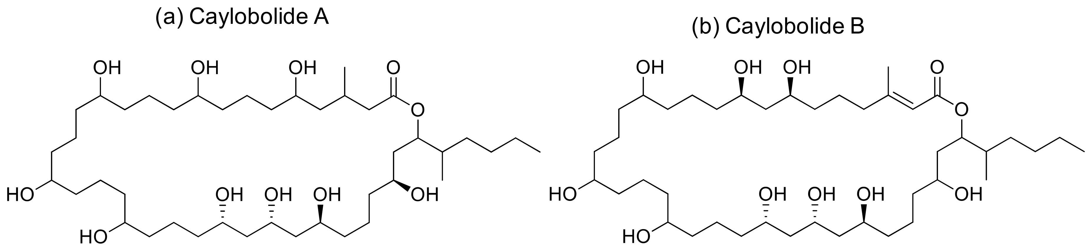 Molecules 26 00247 g010