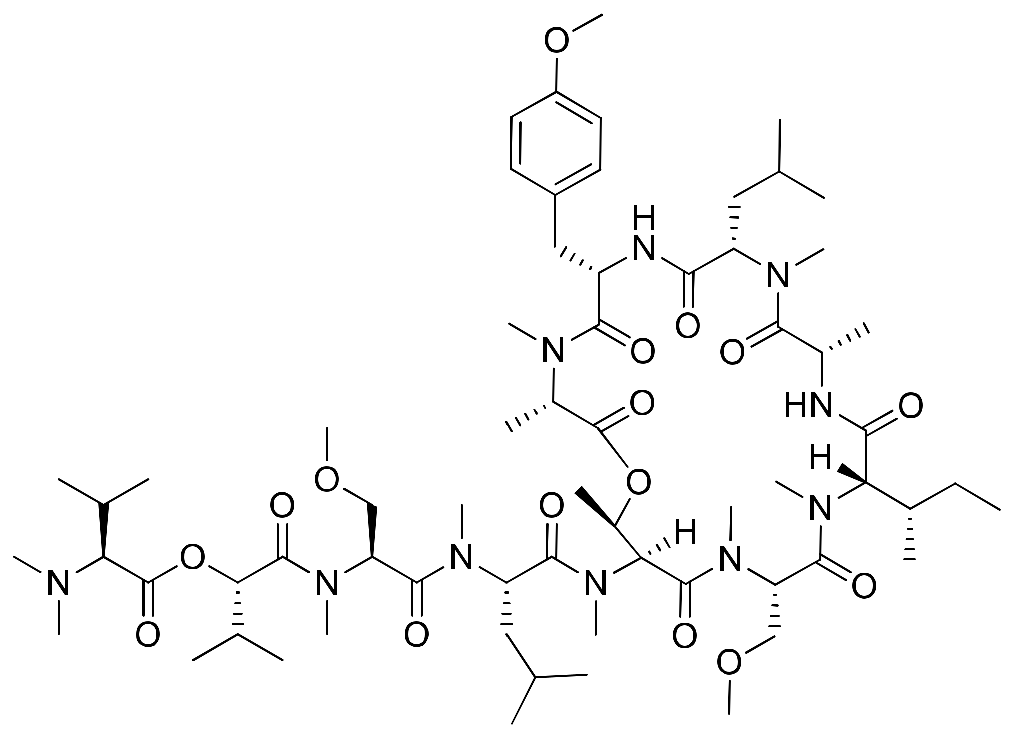 Molecules 26 00247 g011