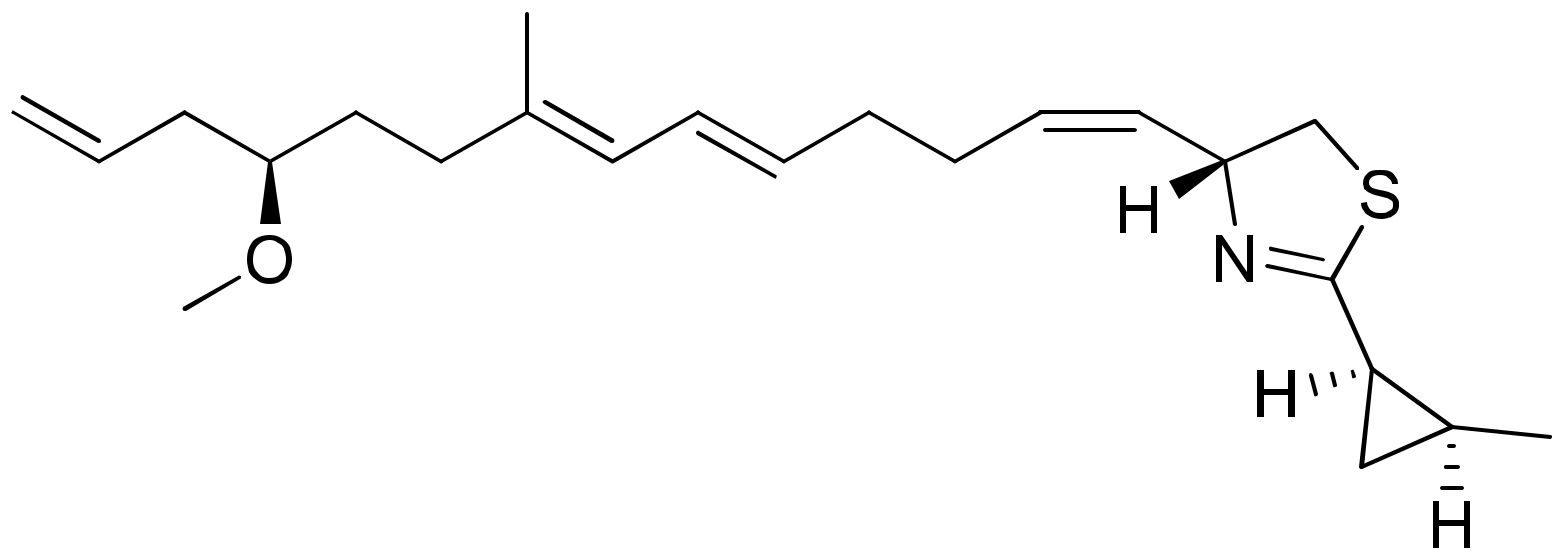Molecules 26 00247 g013