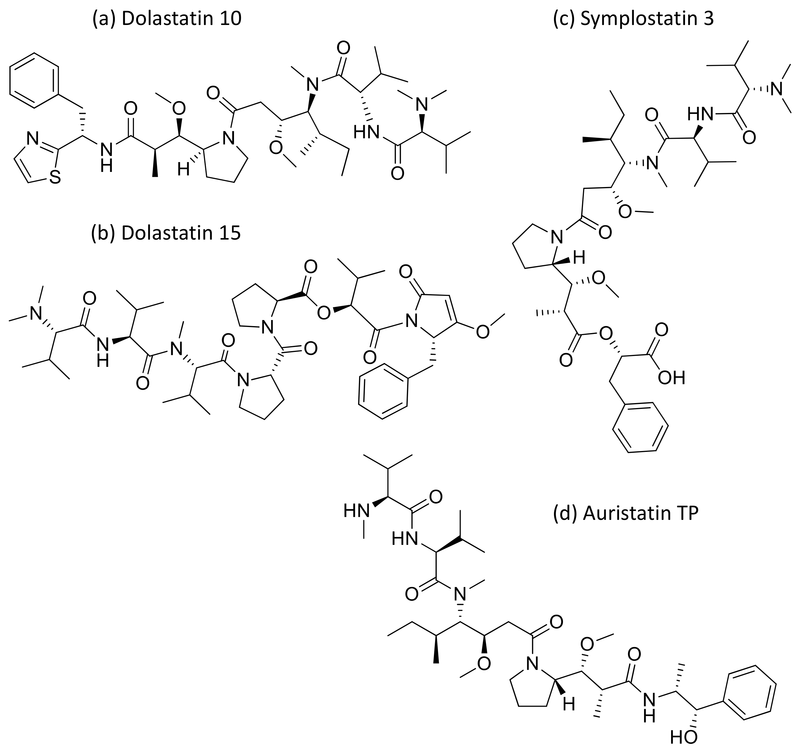 Molecules 26 00247 g015