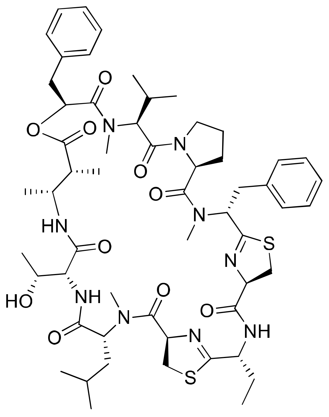 Molecules 26 00247 g016