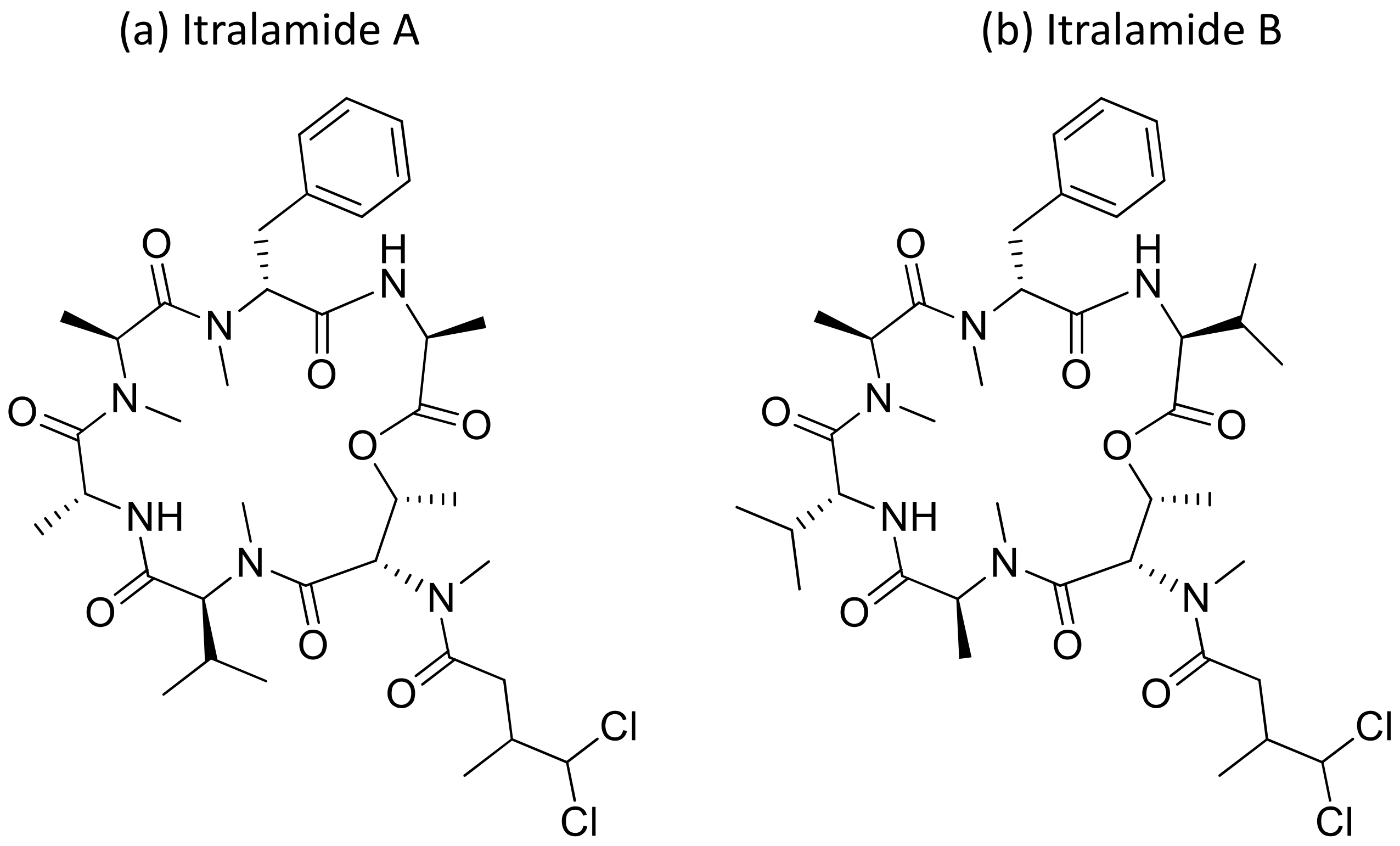 Molecules 26 00247 g022