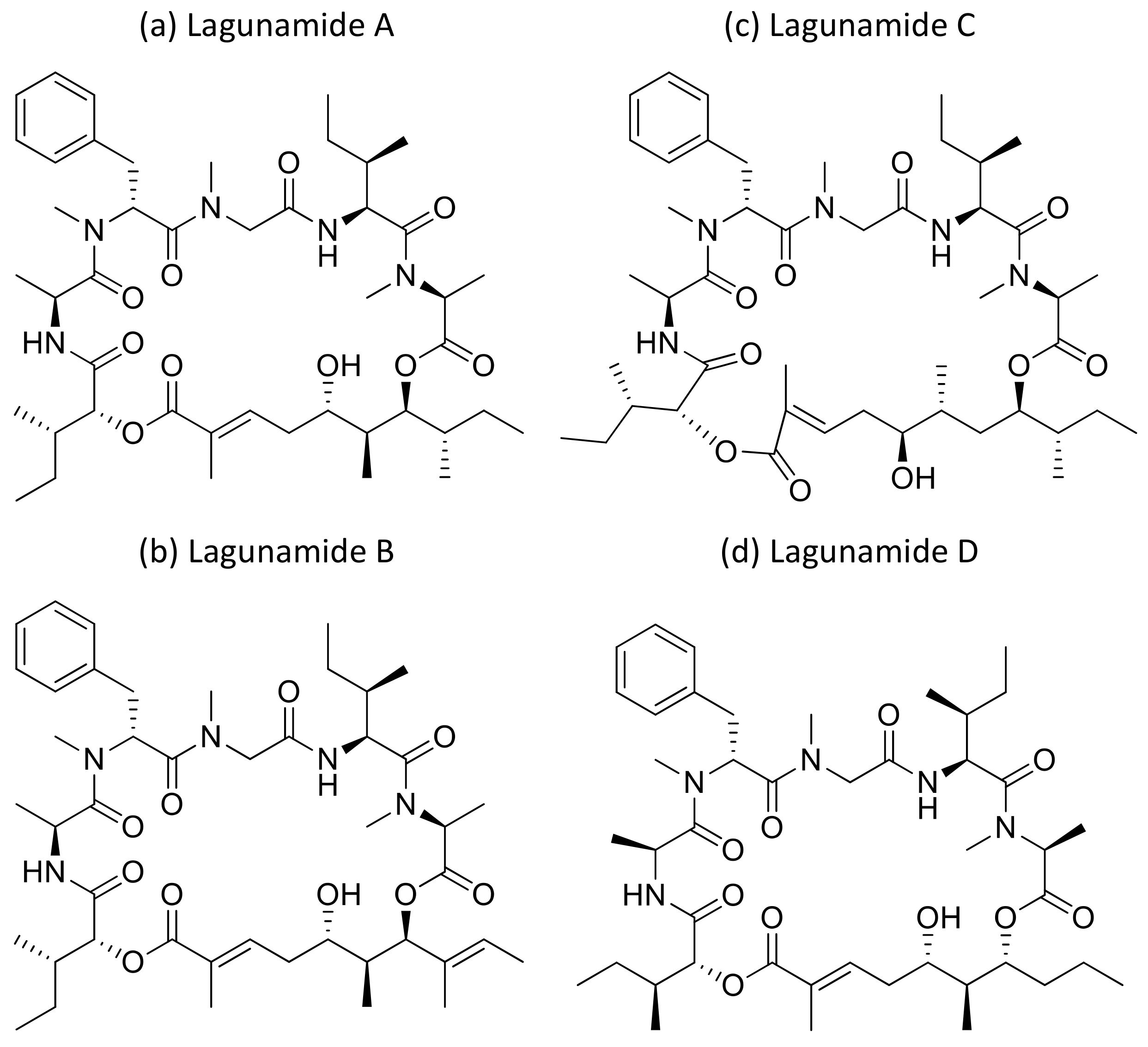 Molecules 26 00247 g023
