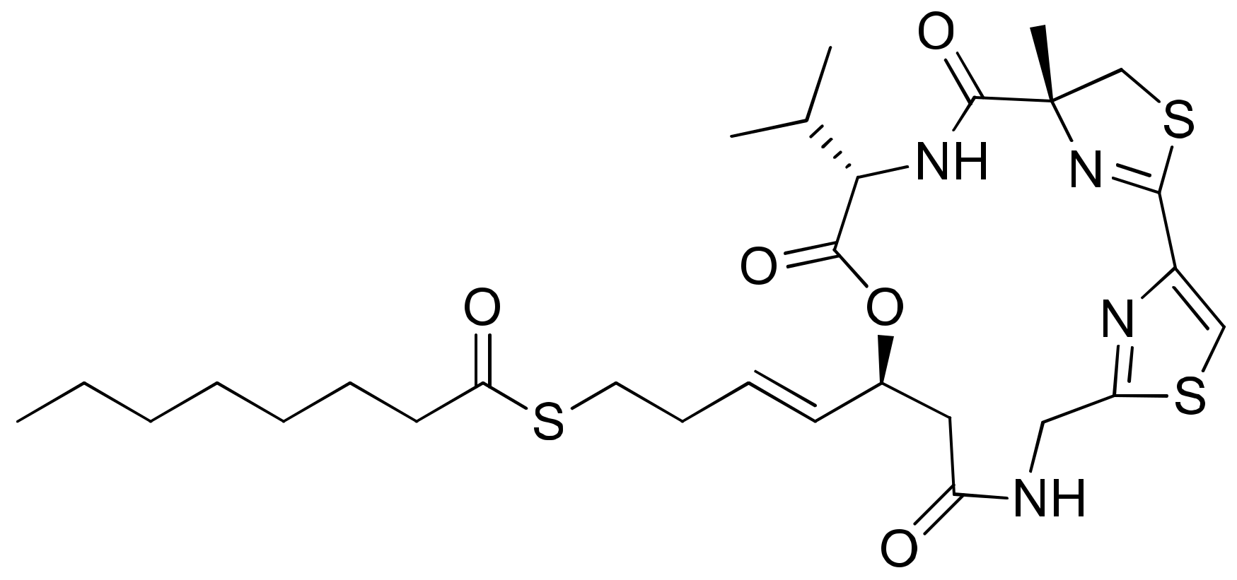 Molecules 26 00247 g024