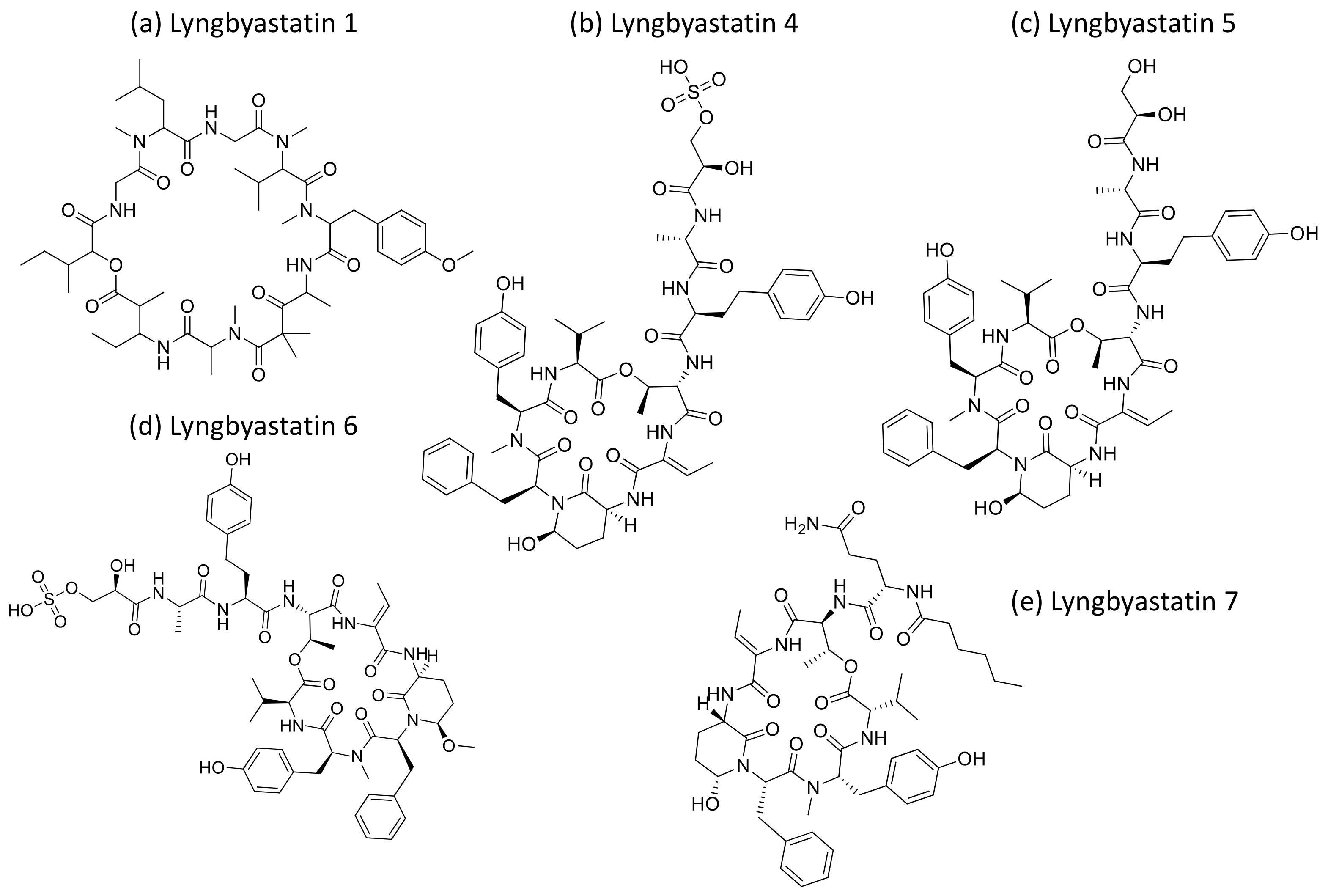 Molecules 26 00247 g027