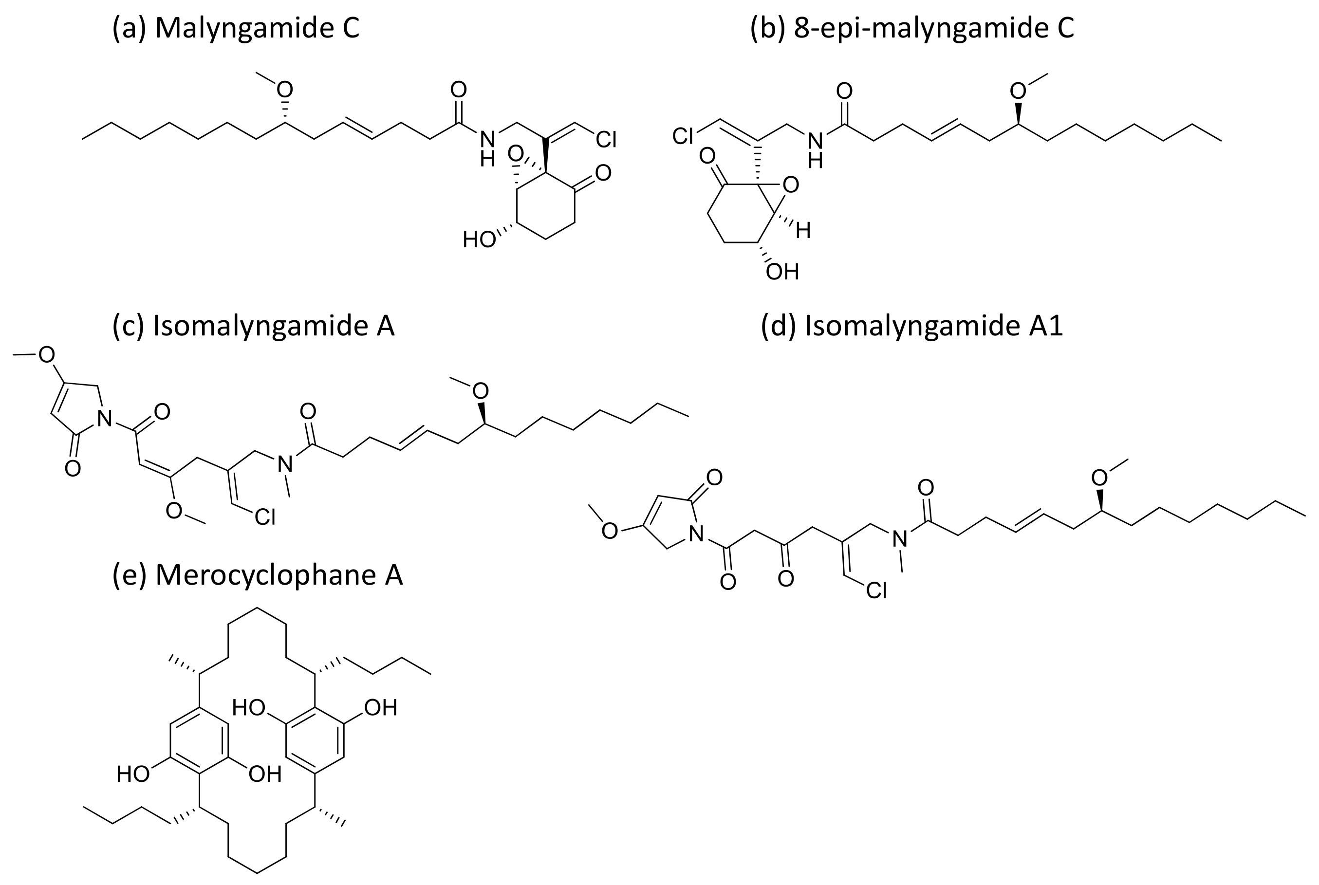Molecules 26 00247 g028