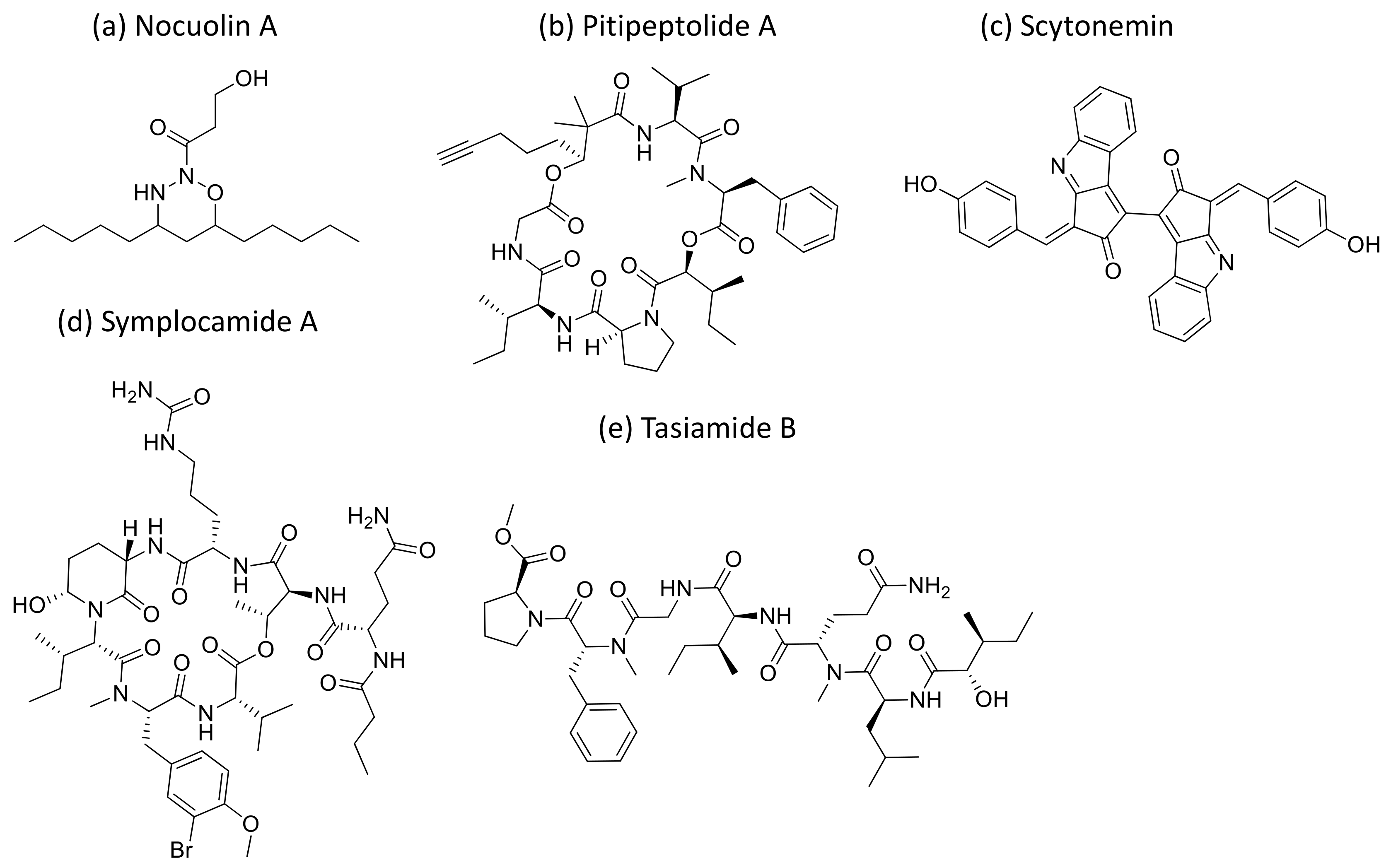 Molecules 26 00247 g029