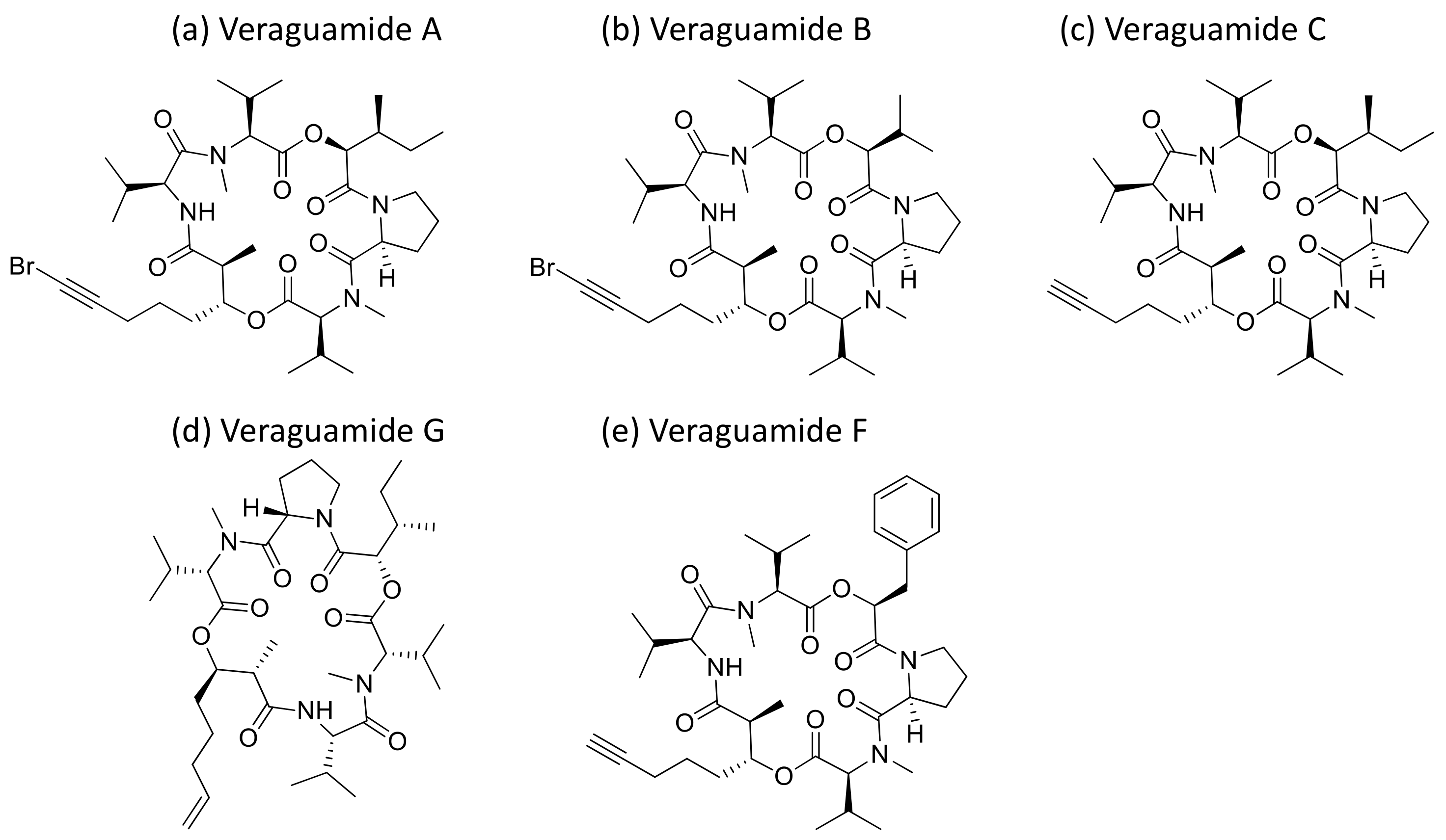 Molecules 26 00247 g030