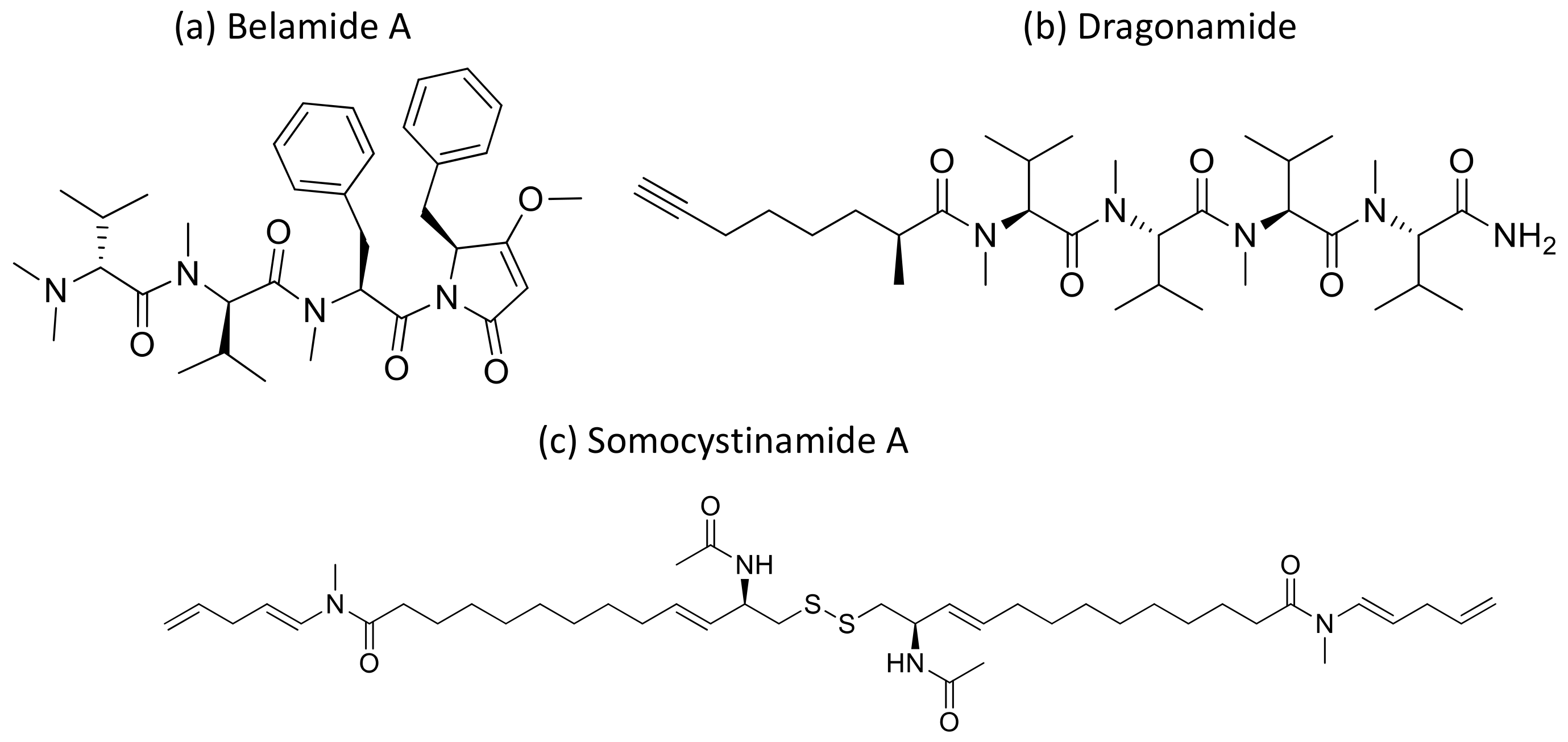 Molecules 26 00247 g031