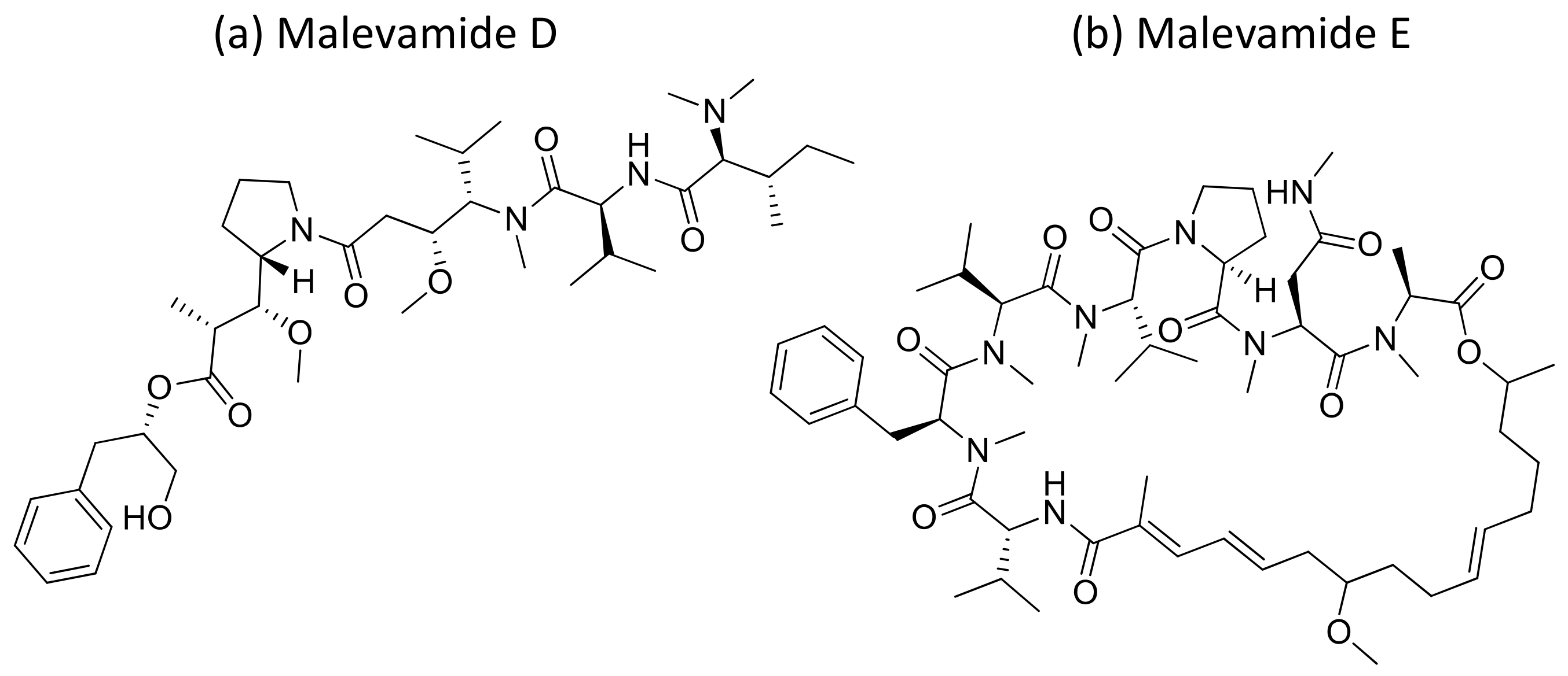 Molecules 26 00247 g032