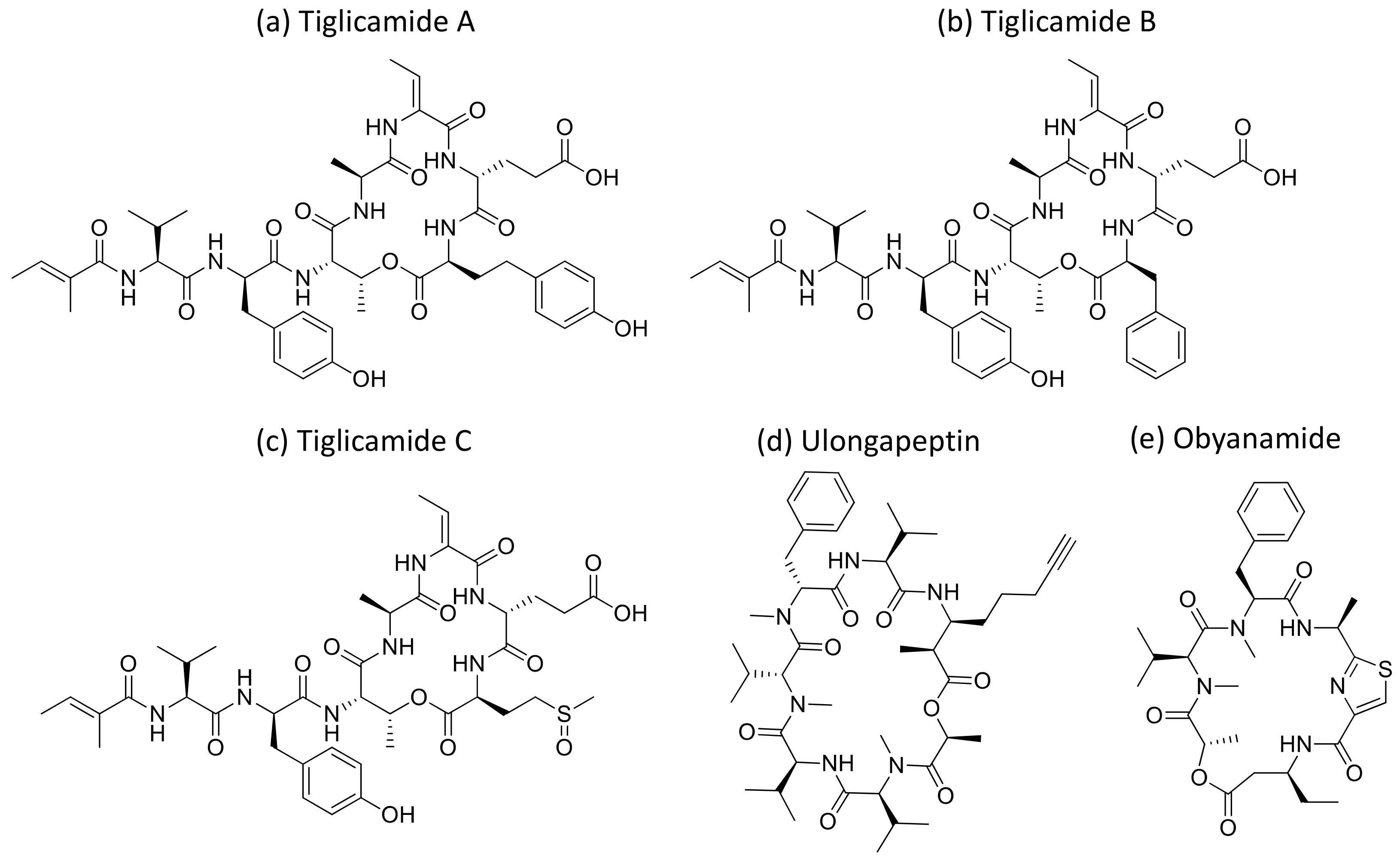 Molecules 26 00247 g033