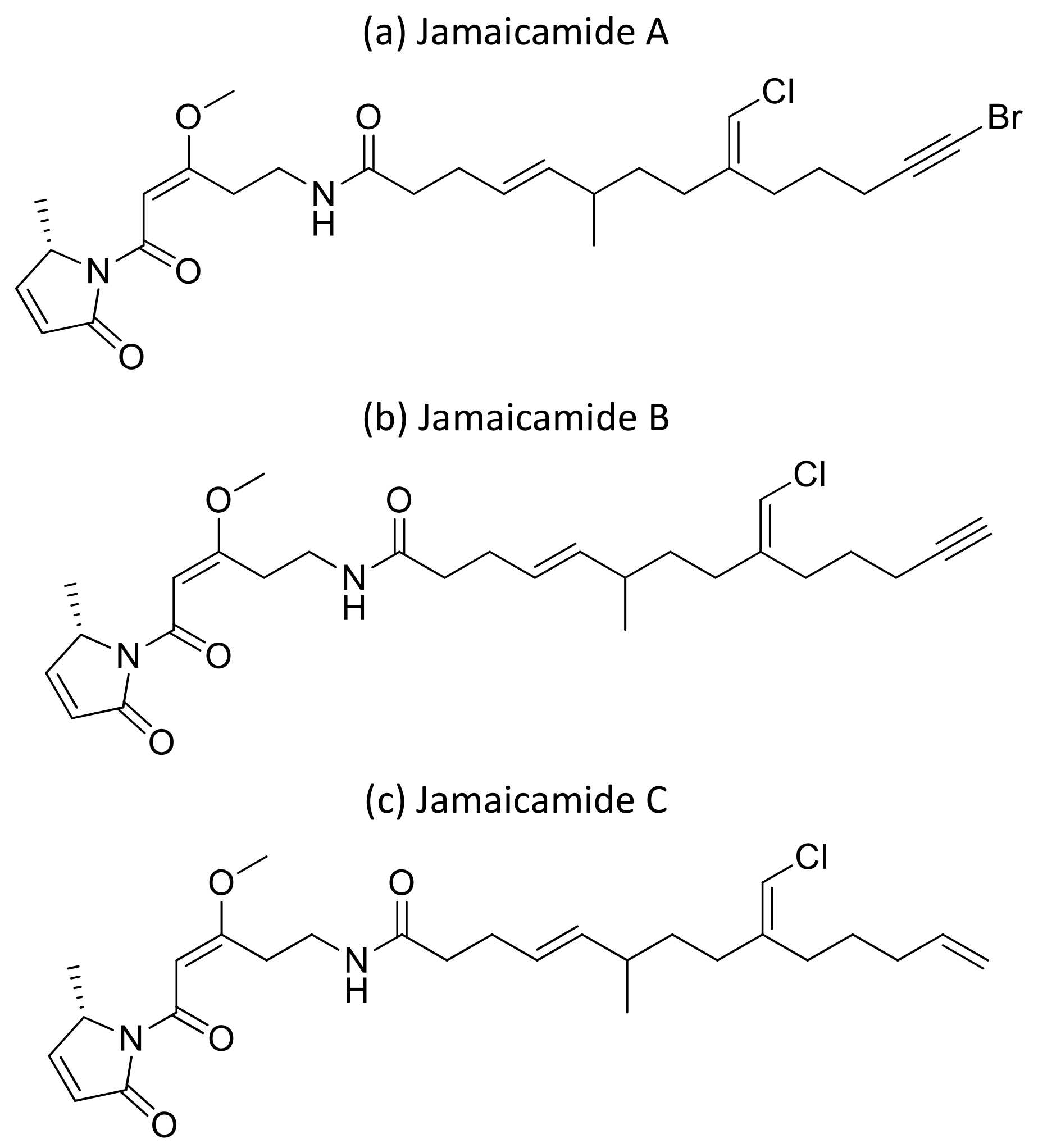 Molecules 26 00247 g035