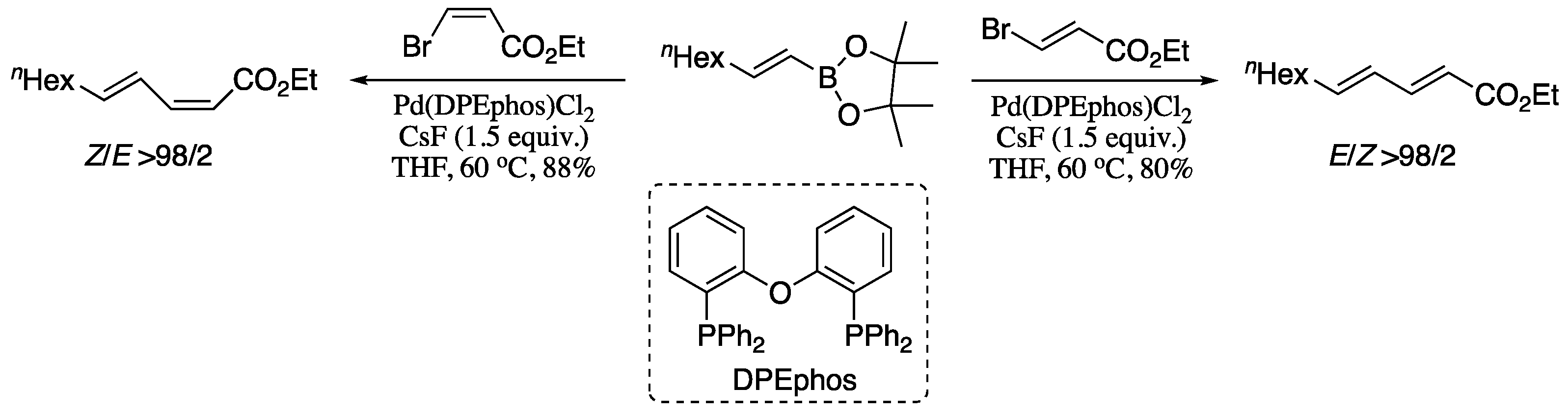Molecules 26 00249 sch001 Molecules 26 00249 sch001