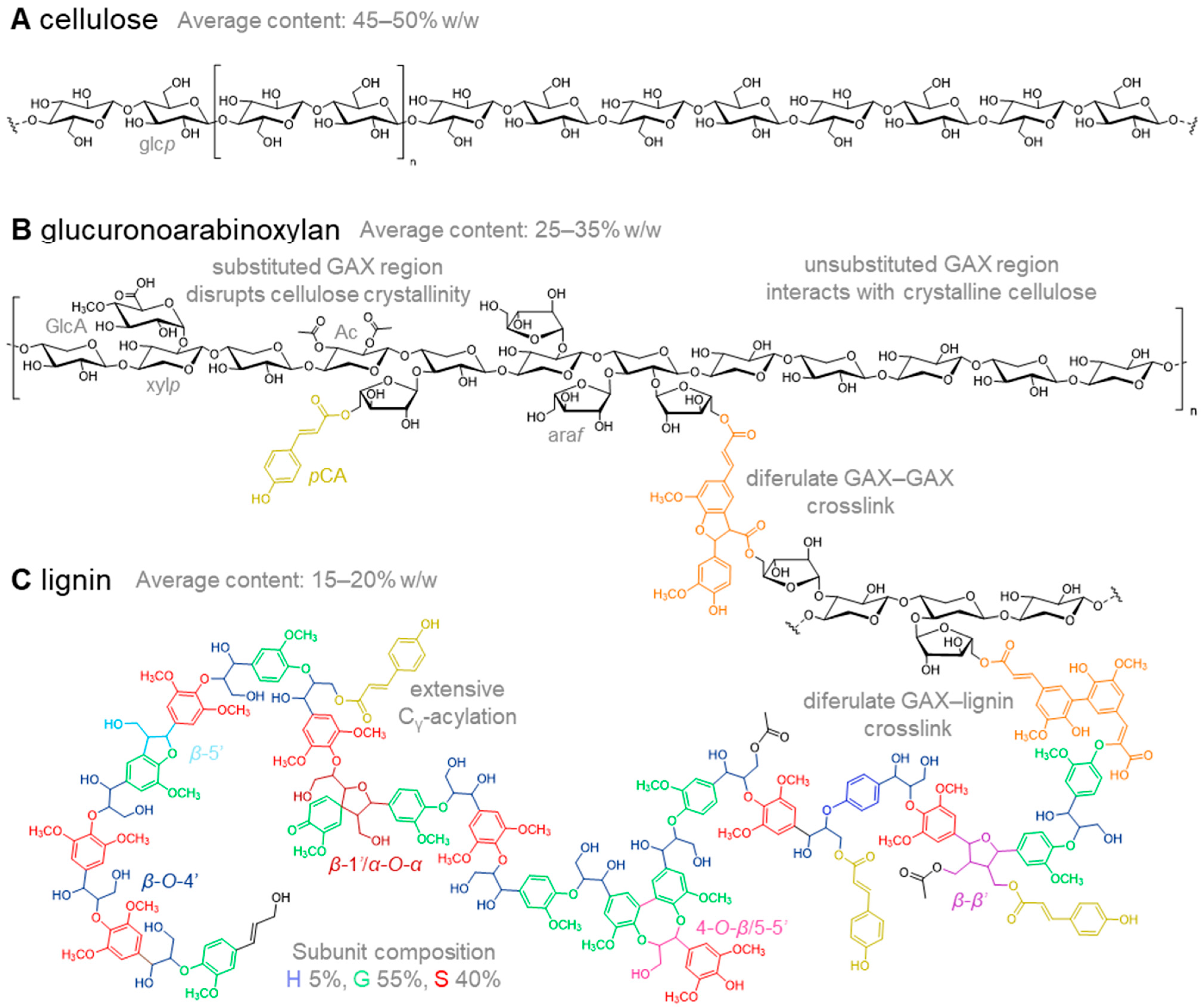 Molecules 26 00254 g001 Molecules 26 00254 g001