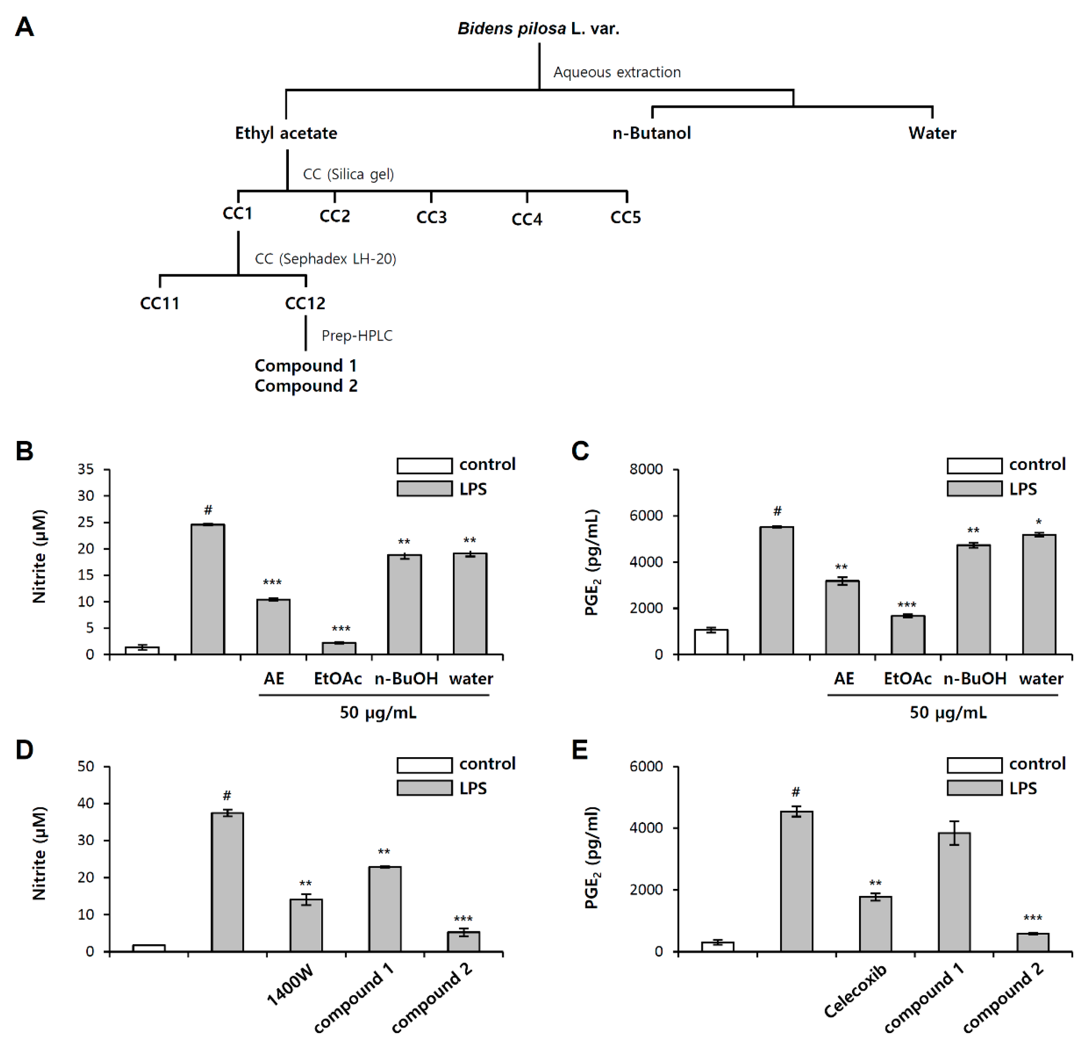 Molecules 26 00255 g001
